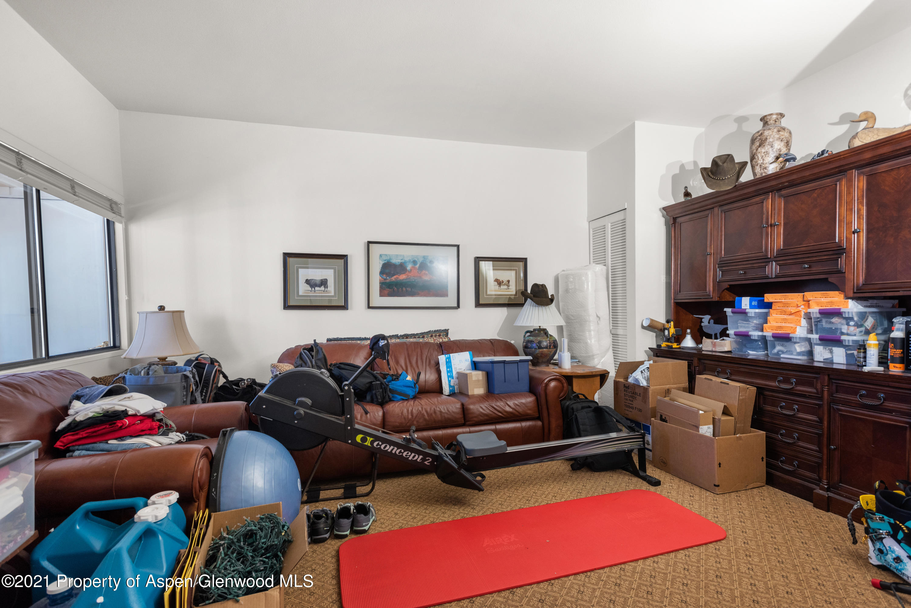 67 Lemond Place Snowmass Village CO 81615