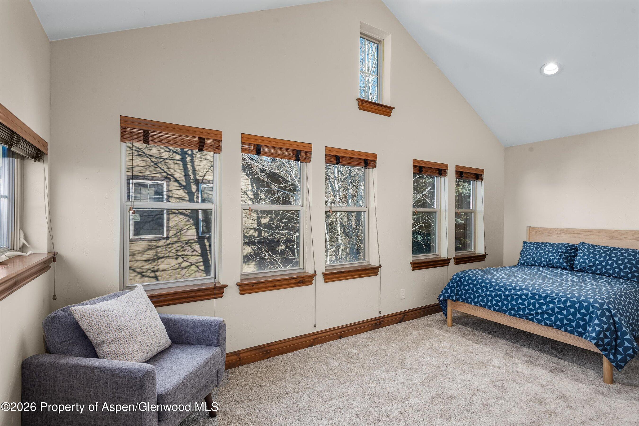 225 Juniper Court Basalt CO 81621