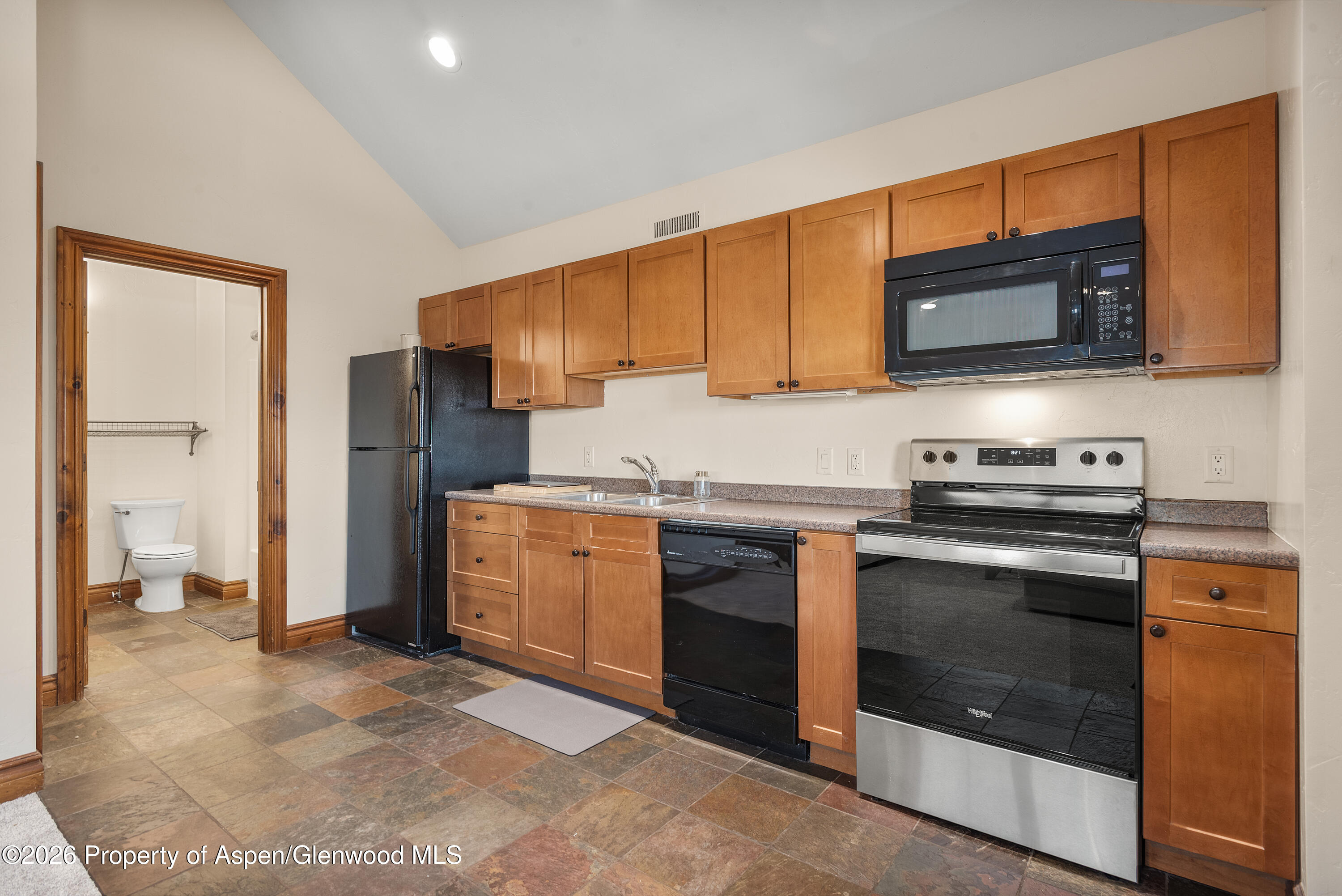 225 Juniper Court Basalt CO 81621