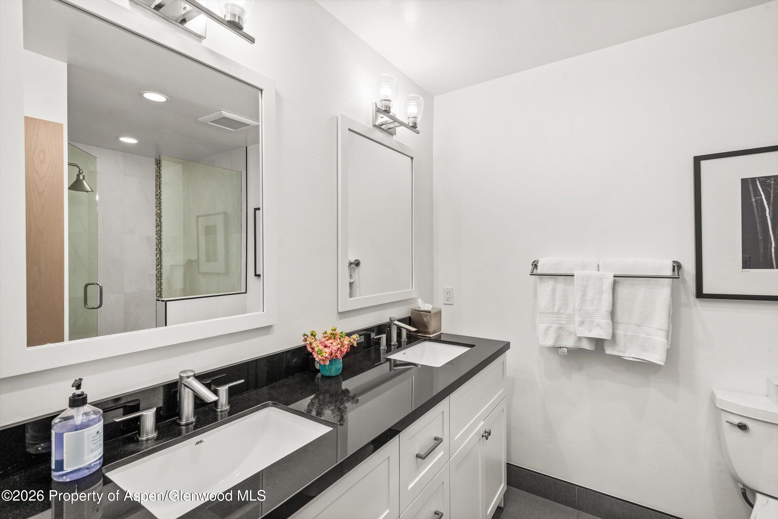 245 Stagecoach Drive Carbondale CO 81623