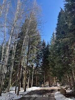 400 & 410 Lake Avenue Aspen CO 81611