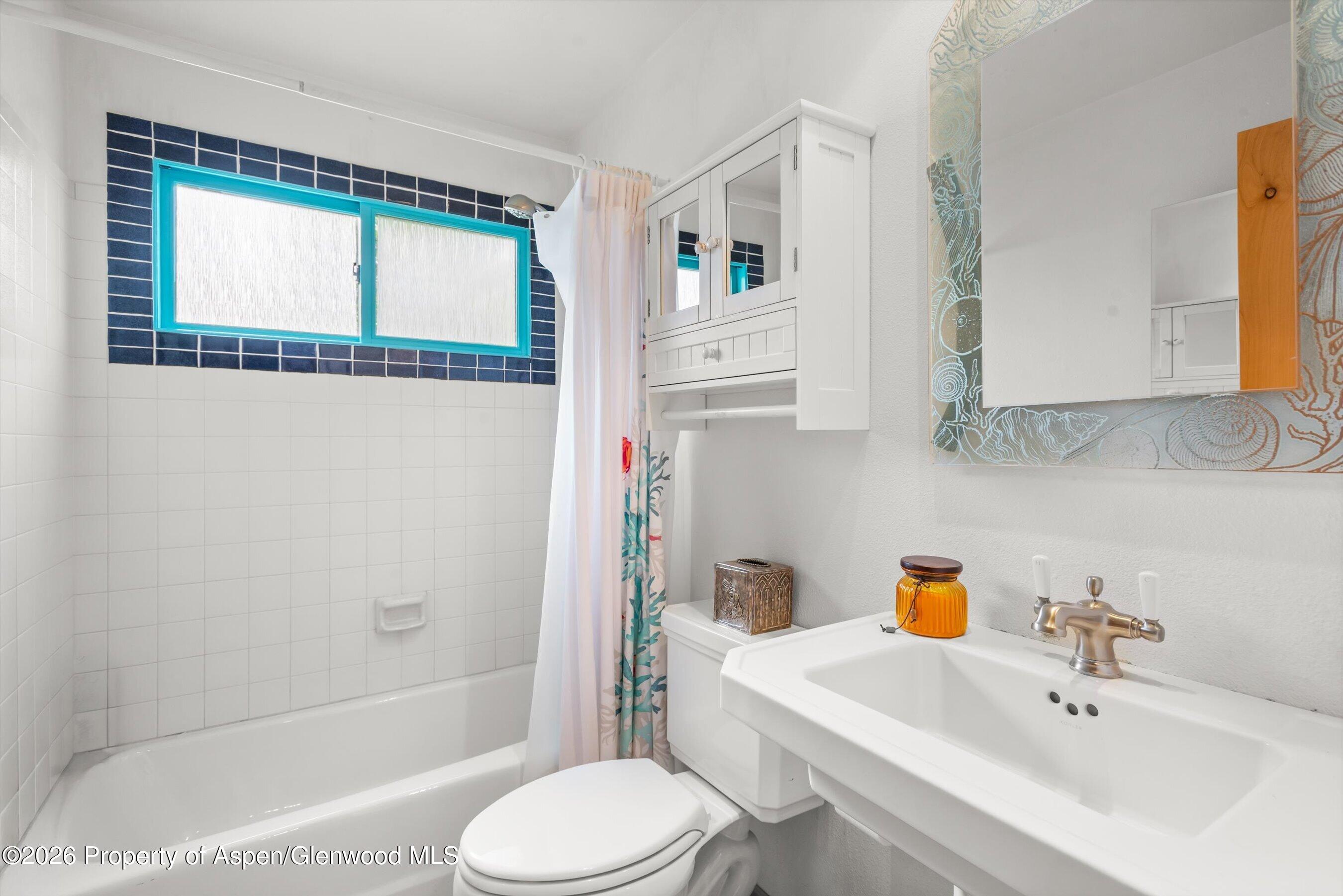 130 Stagecoach Circle Carbondale CO 81623