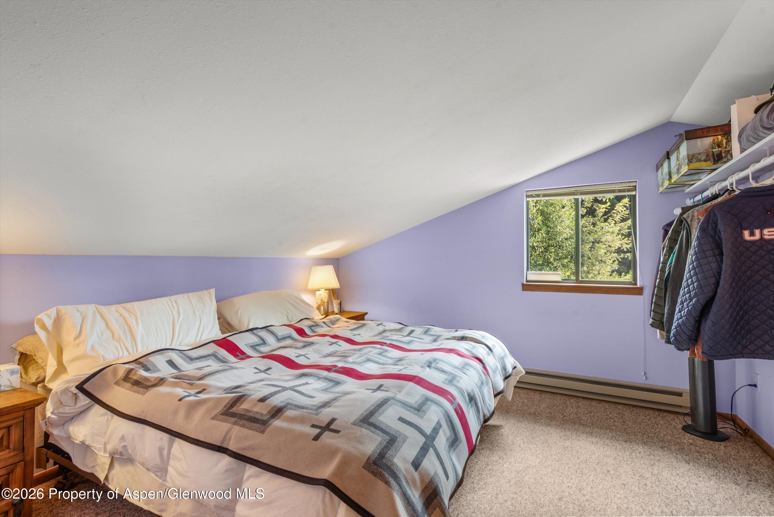 130 Stagecoach Circle Carbondale CO 81623