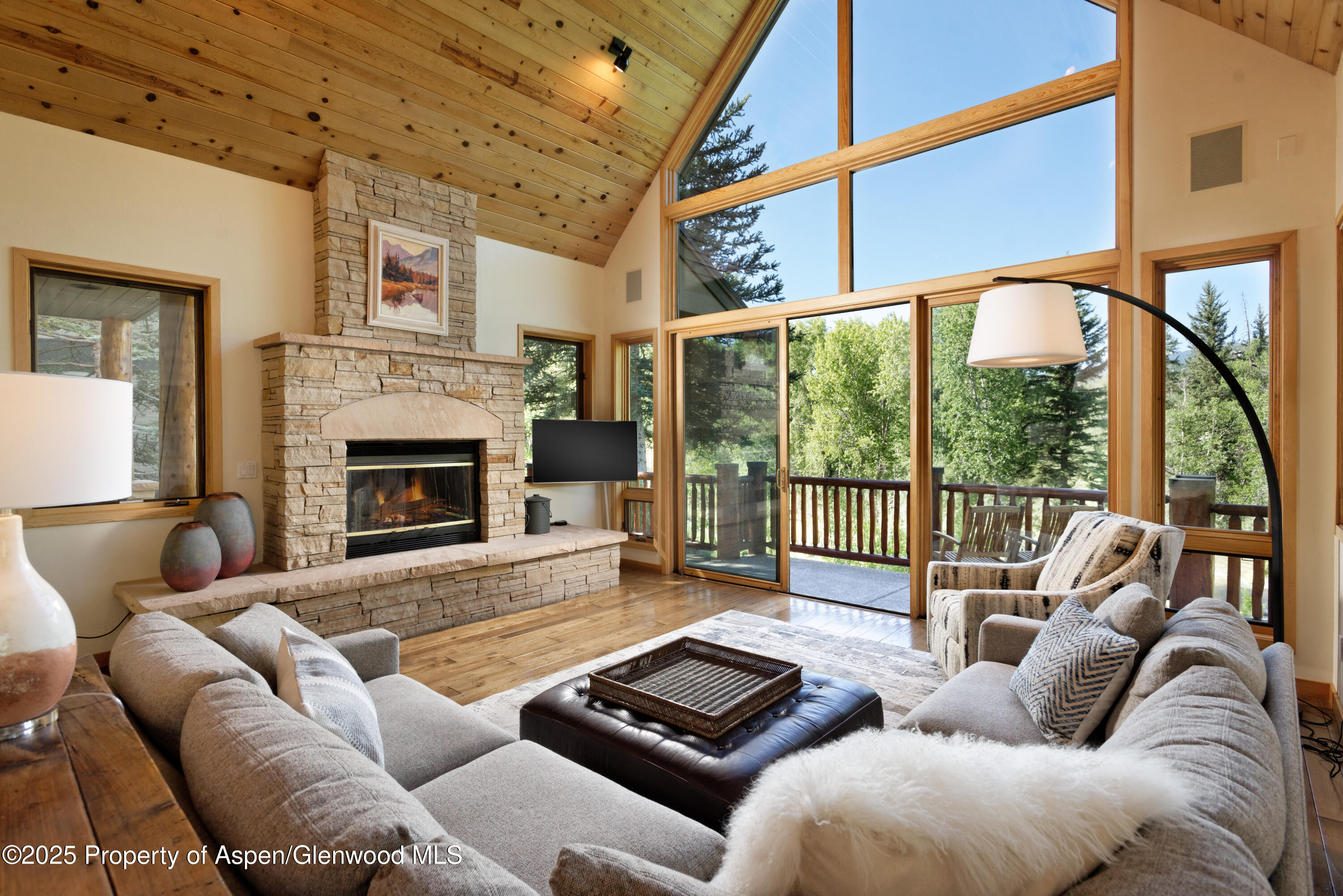 106 N Little Texas Lane Woody Creek CO 81656