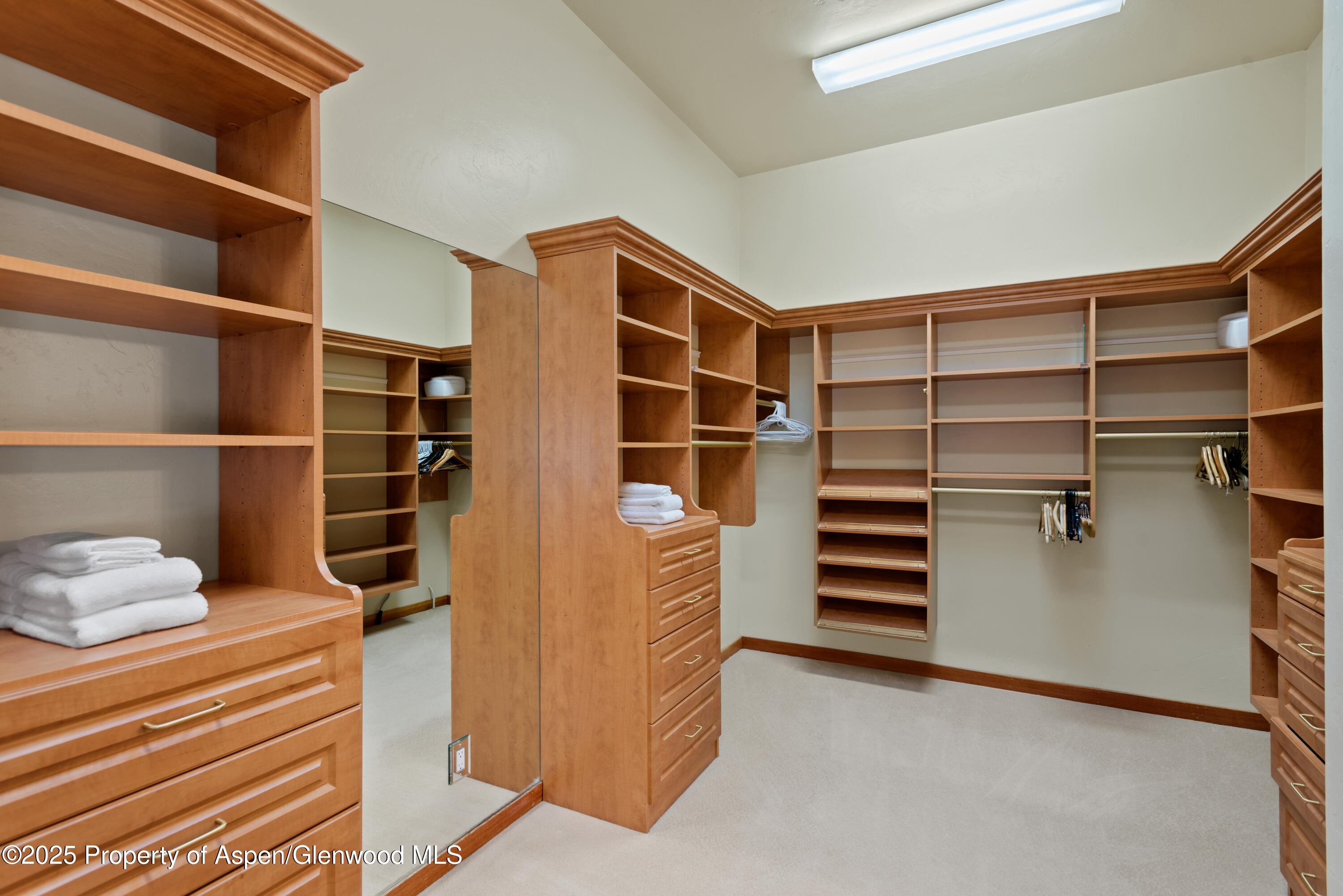 106 N Little Texas Lane Woody Creek CO 81656