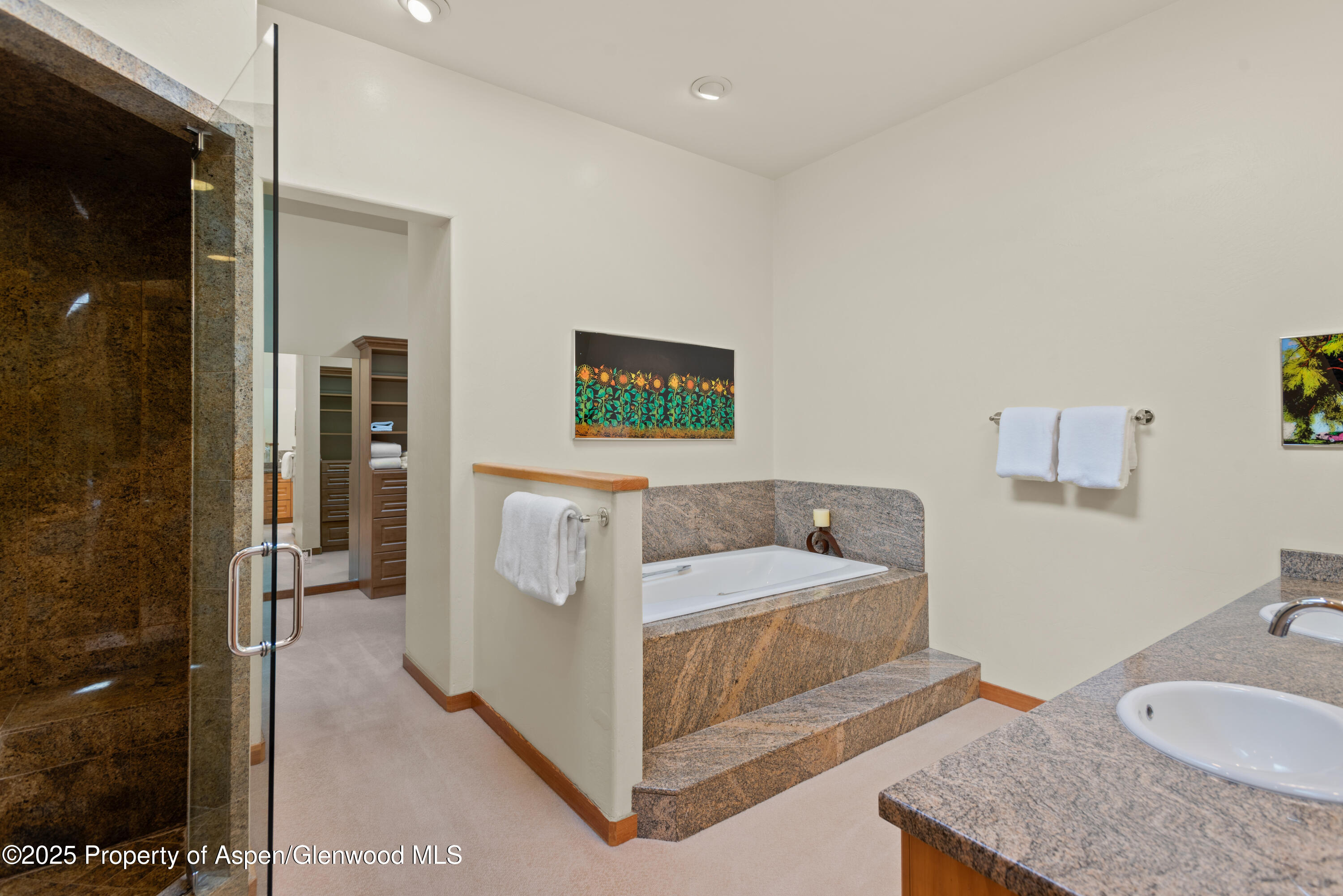 106 N Little Texas Lane Woody Creek CO 81656