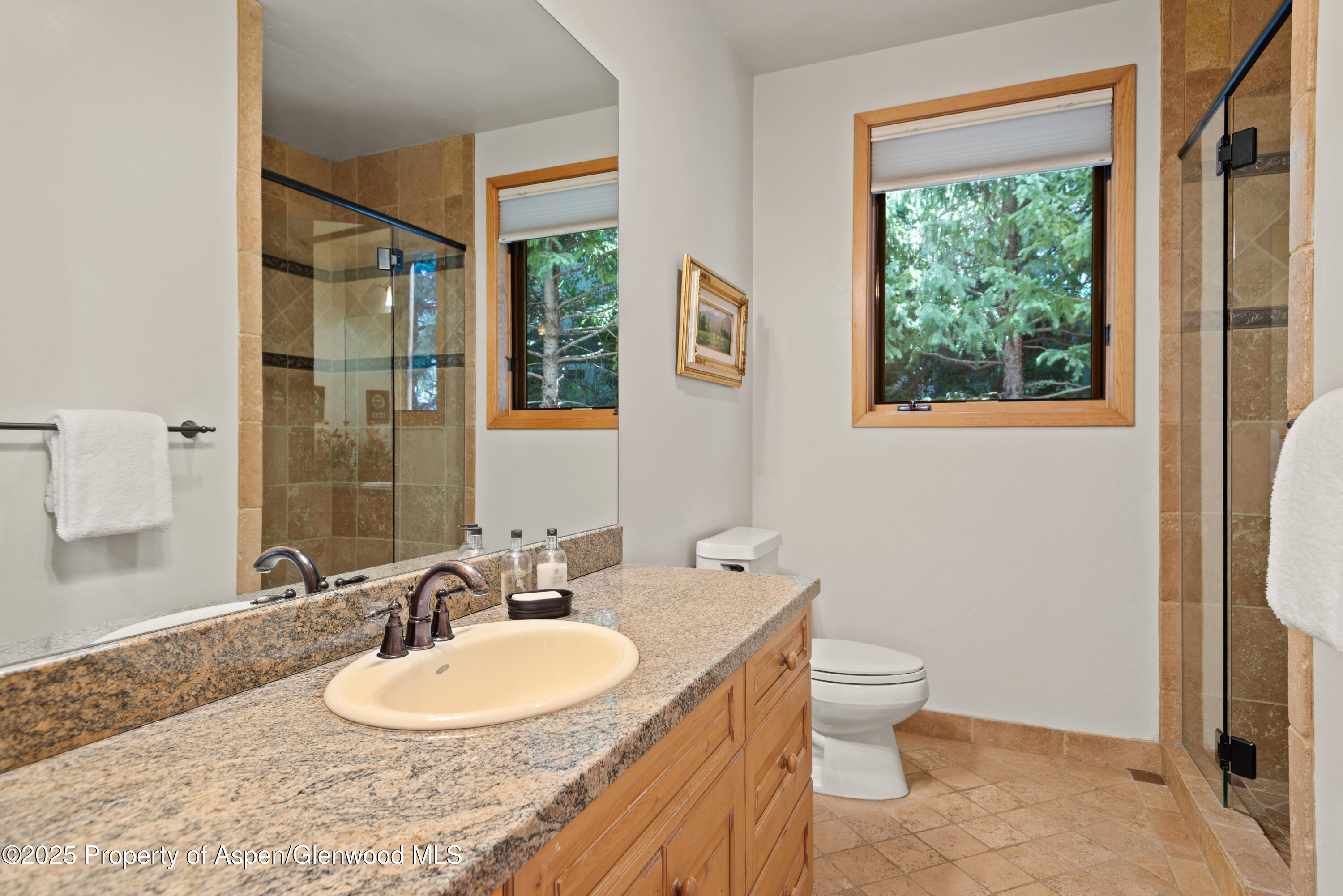 106 N Little Texas Lane Woody Creek CO 81656