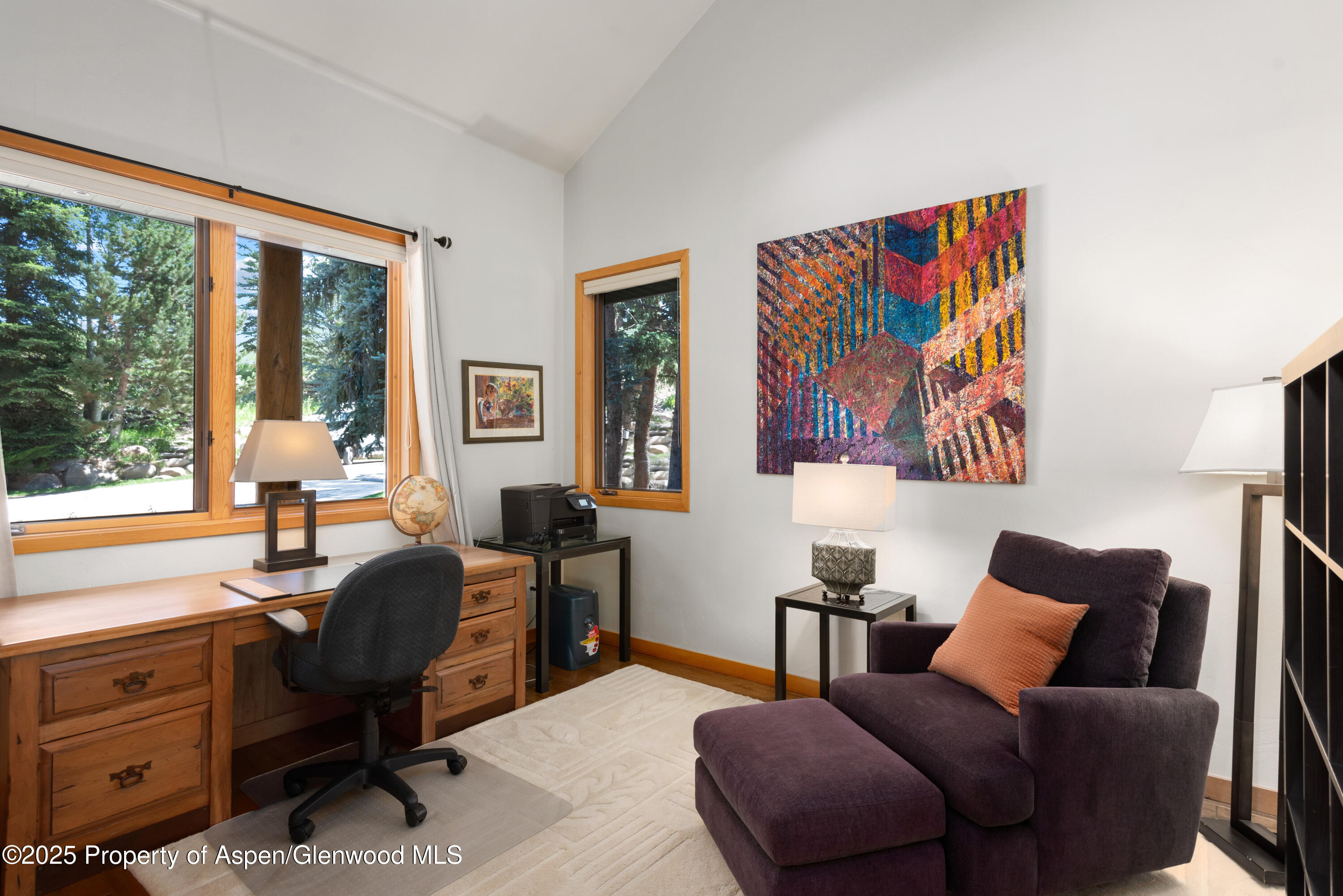 106 N Little Texas Lane Woody Creek CO 81656