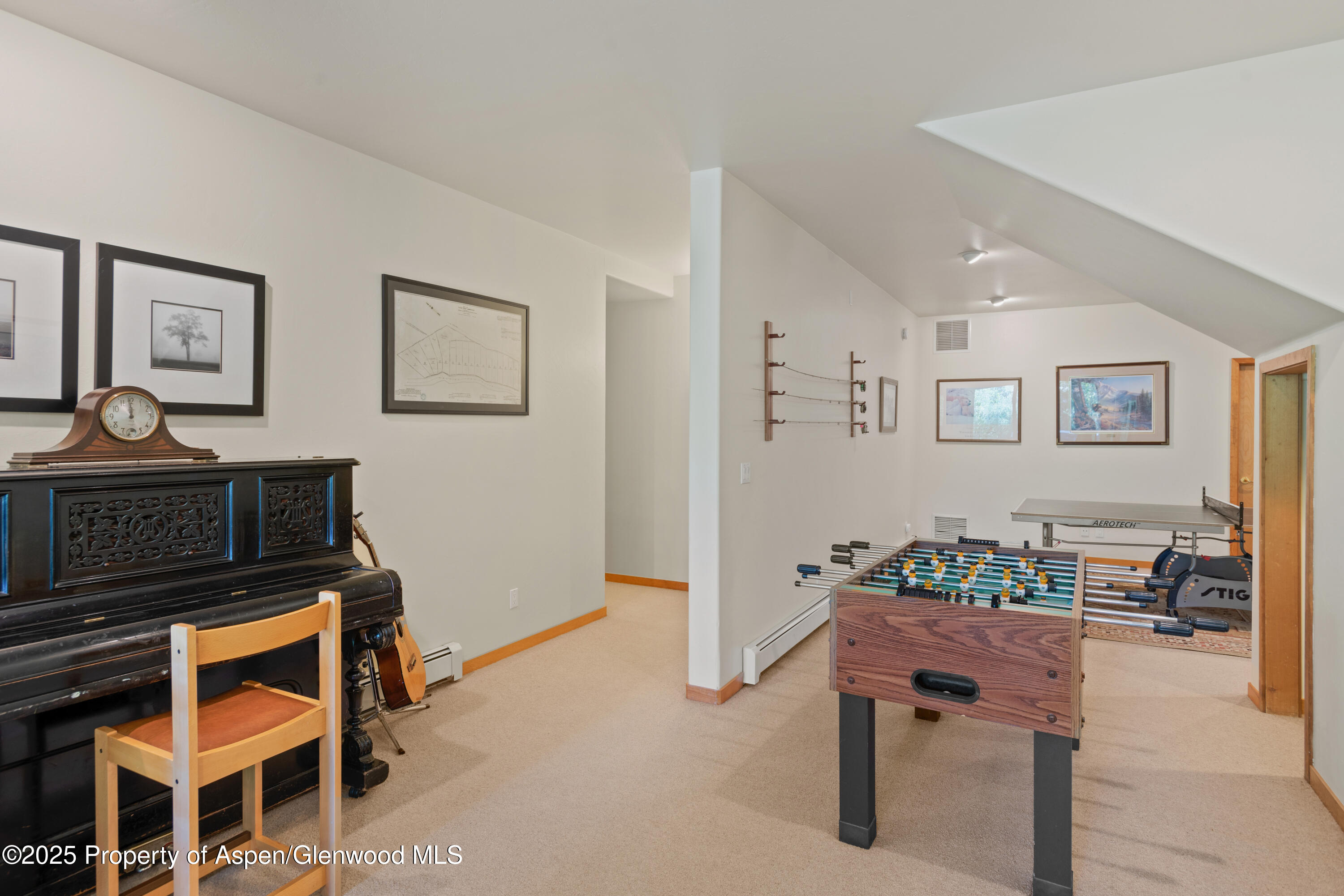 106 N Little Texas Lane Woody Creek CO 81656