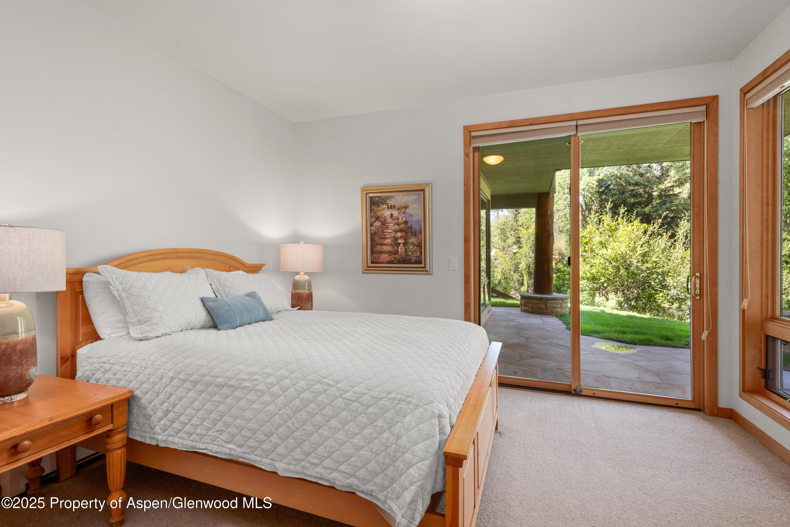 106 N Little Texas Lane Woody Creek CO 81656