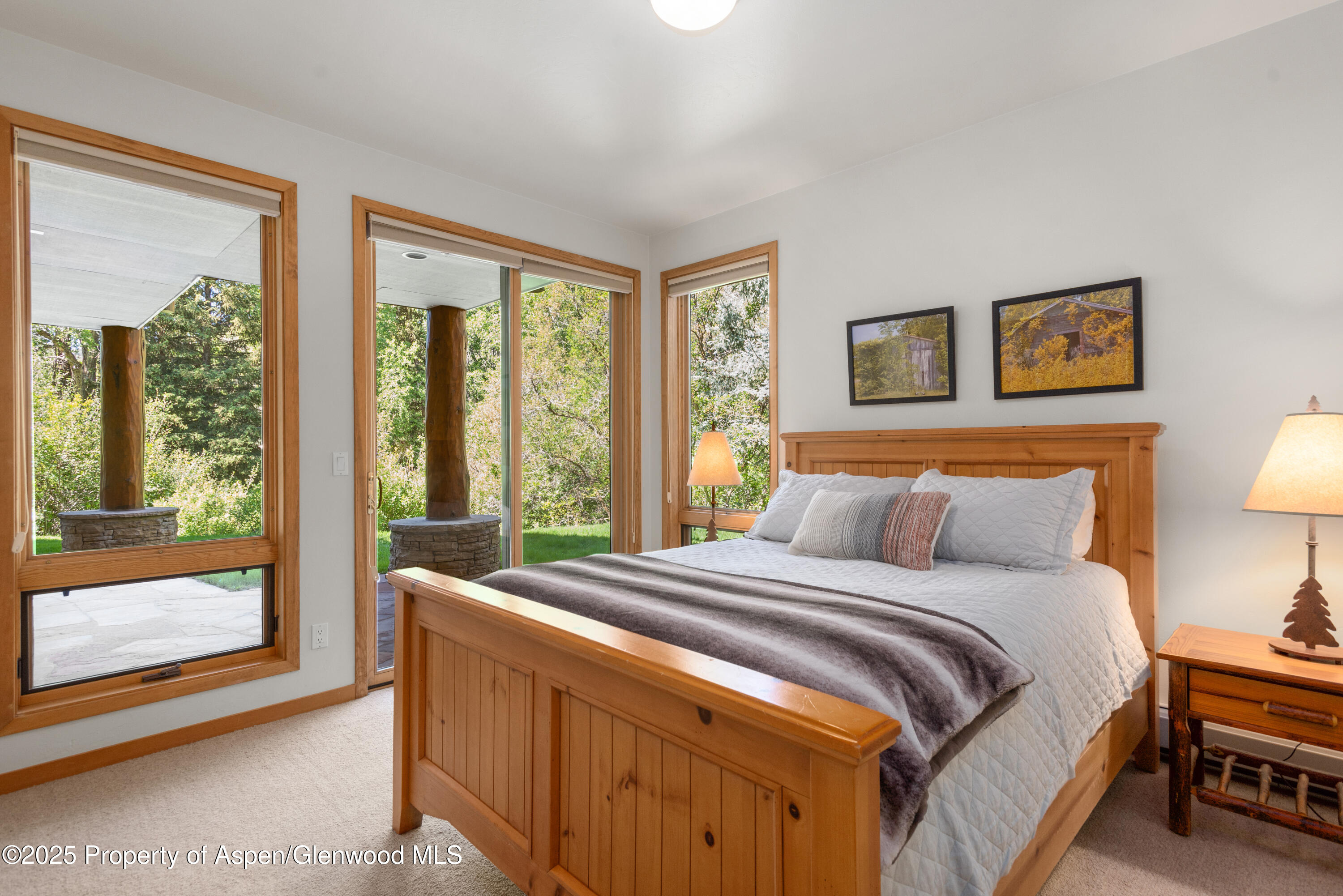 106 N Little Texas Lane Woody Creek CO 81656