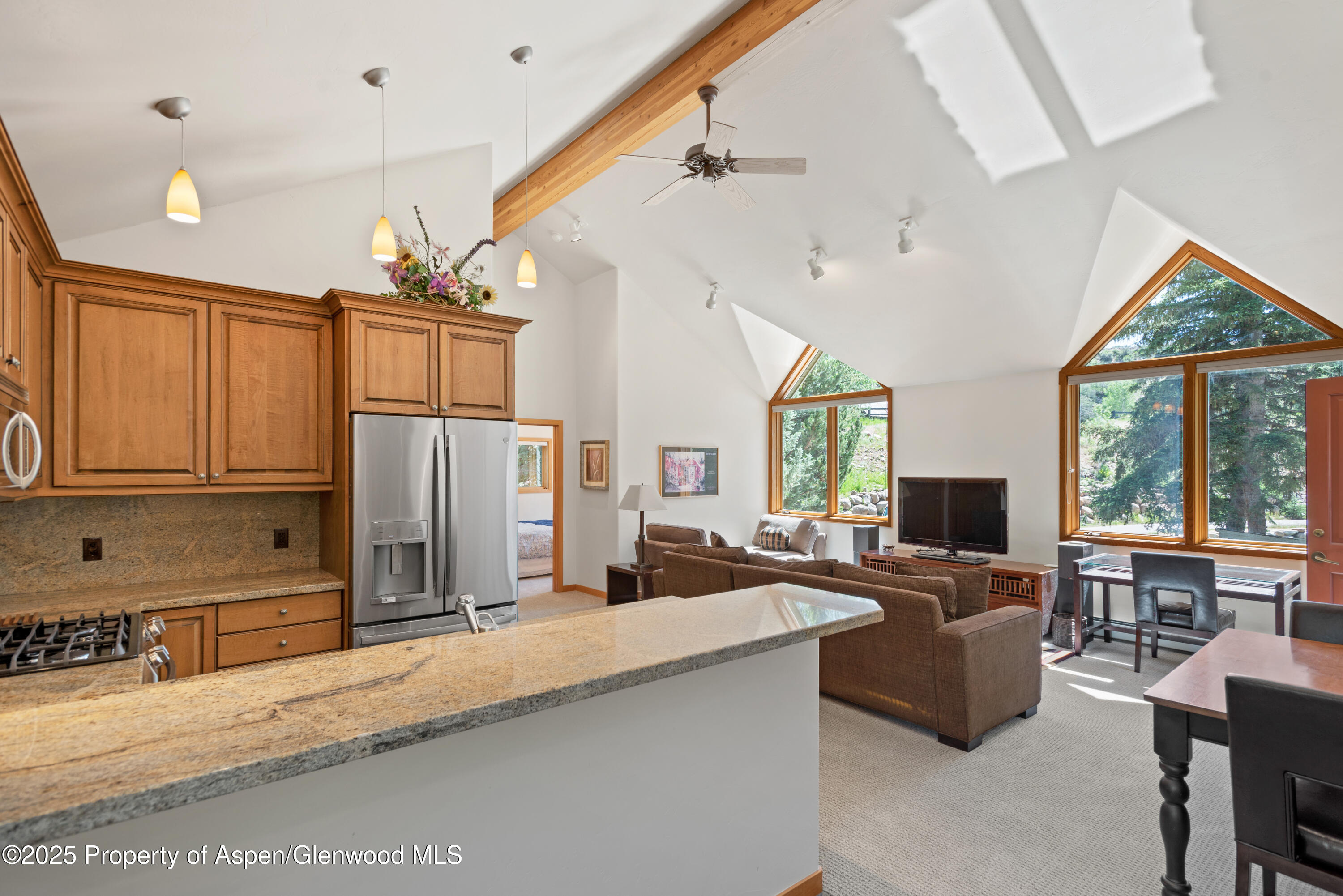 106 N Little Texas Lane Woody Creek CO 81656