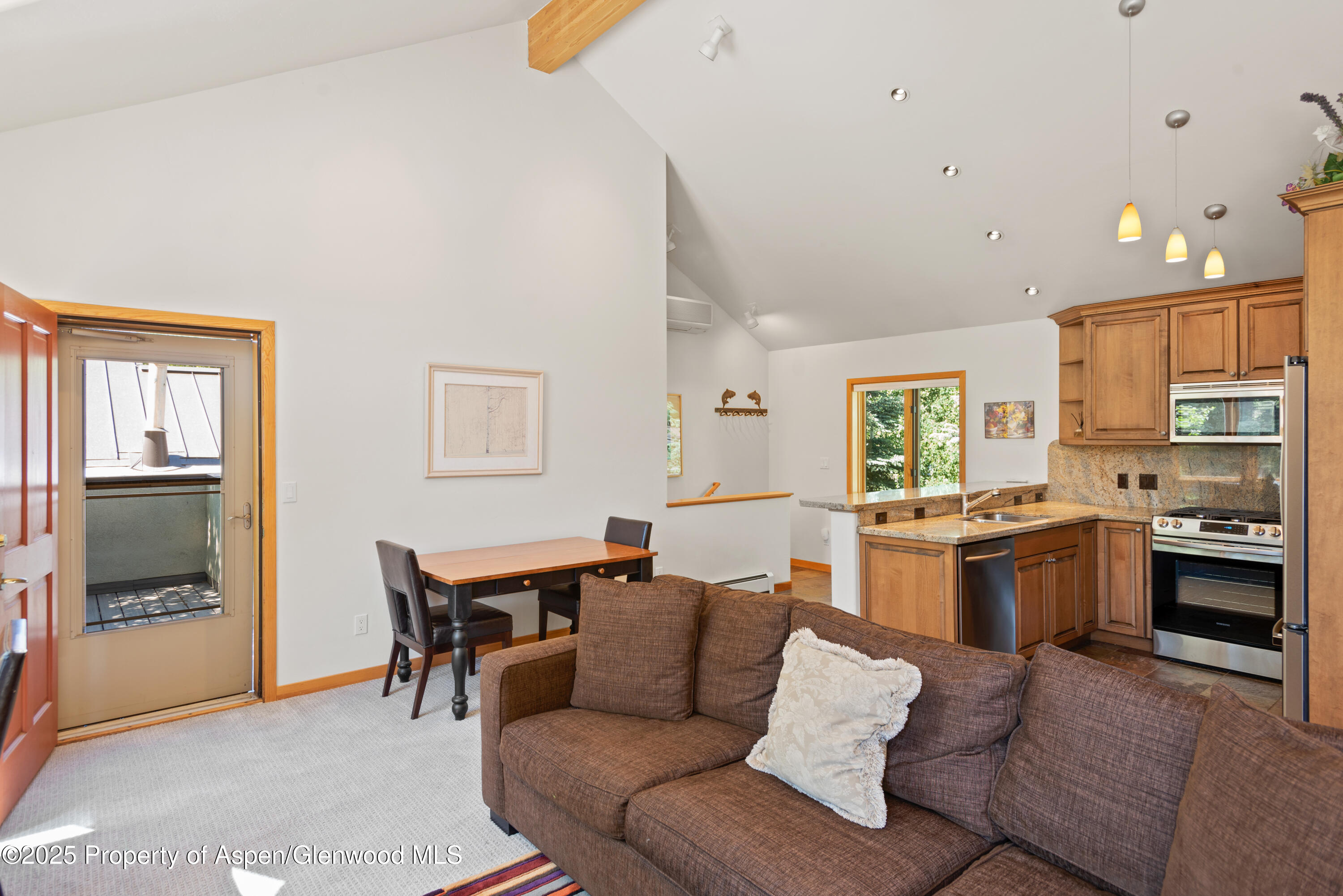 106 N Little Texas Lane Woody Creek CO 81656