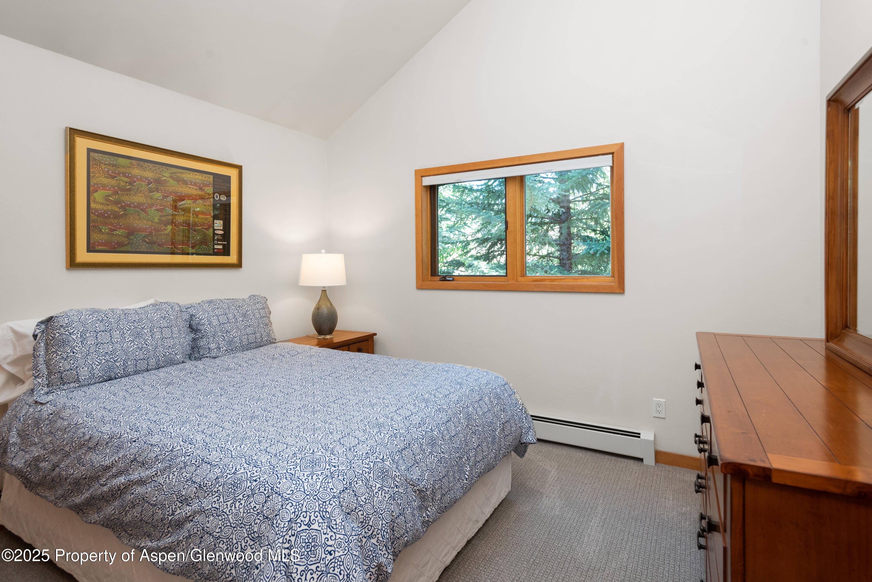 106 N Little Texas Lane Woody Creek CO 81656