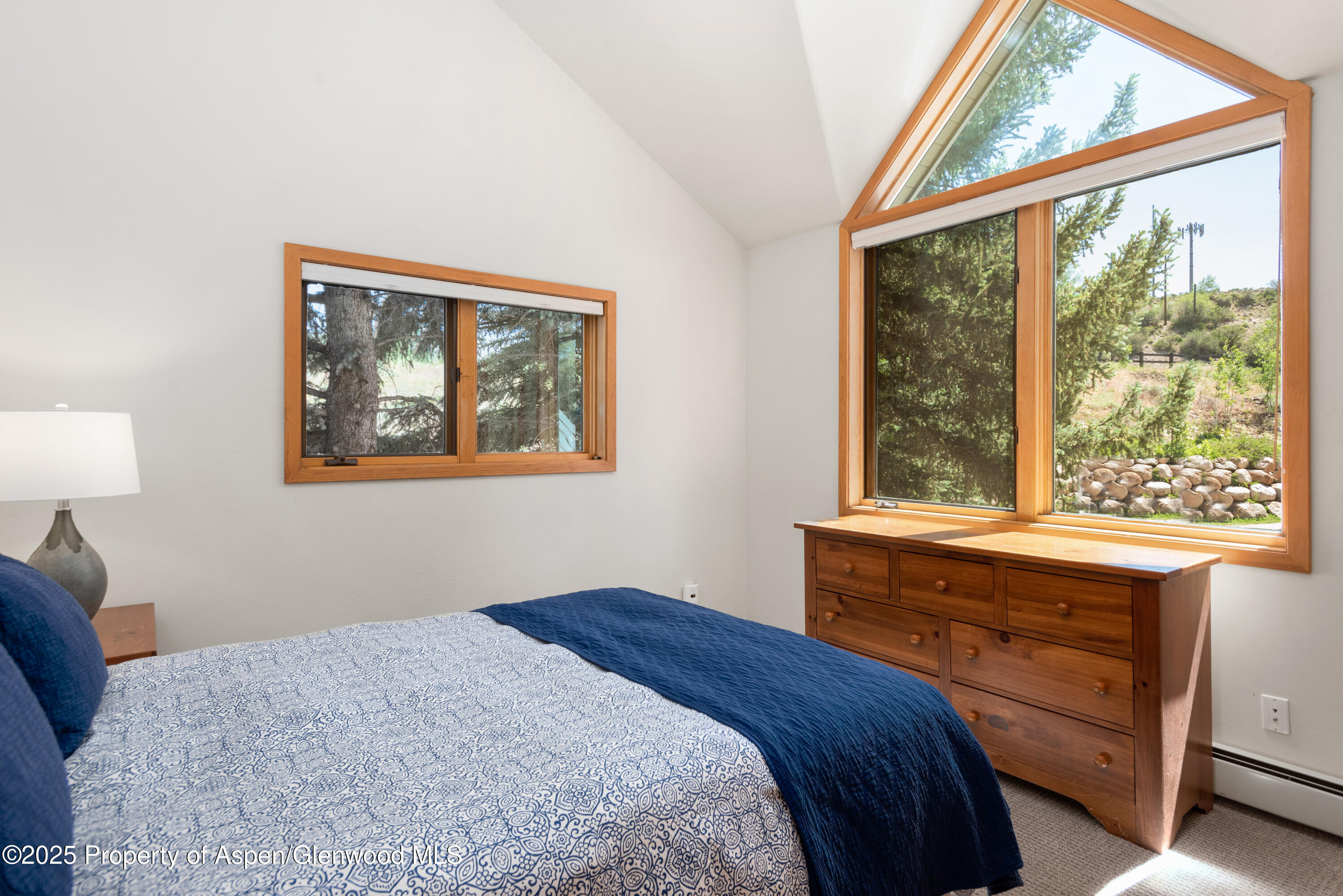 106 N Little Texas Lane Woody Creek CO 81656