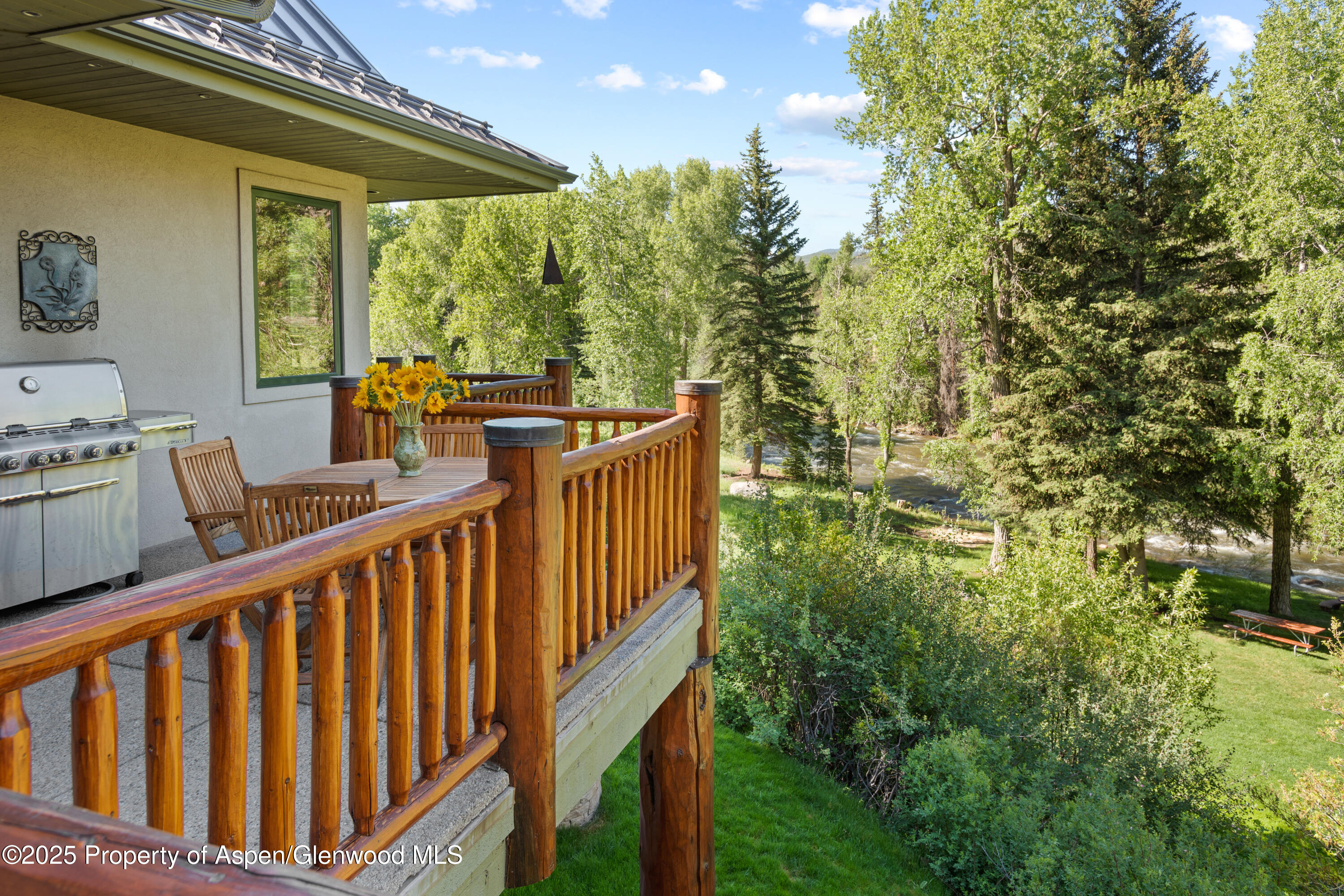 106 N Little Texas Lane Woody Creek CO 81656