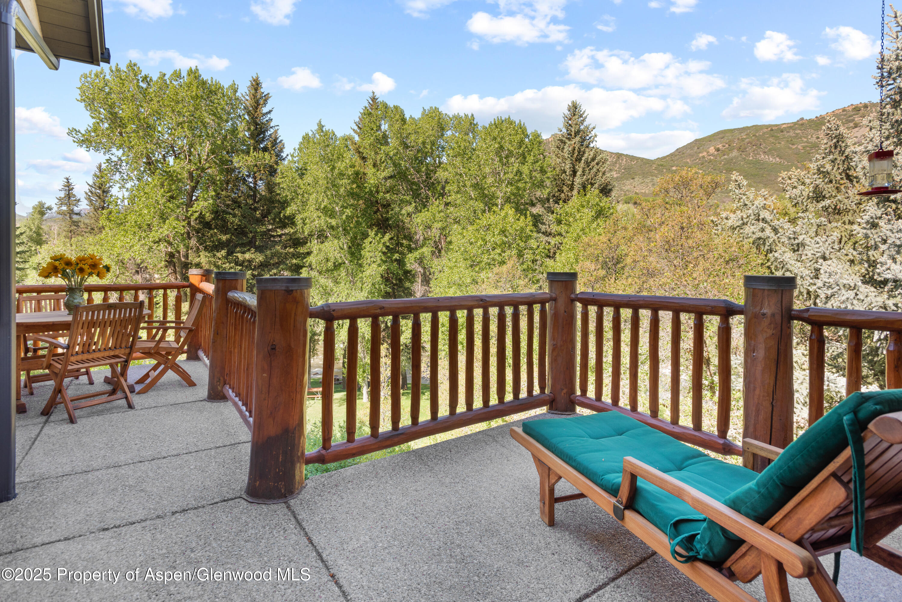 106 N Little Texas Lane Woody Creek CO 81656