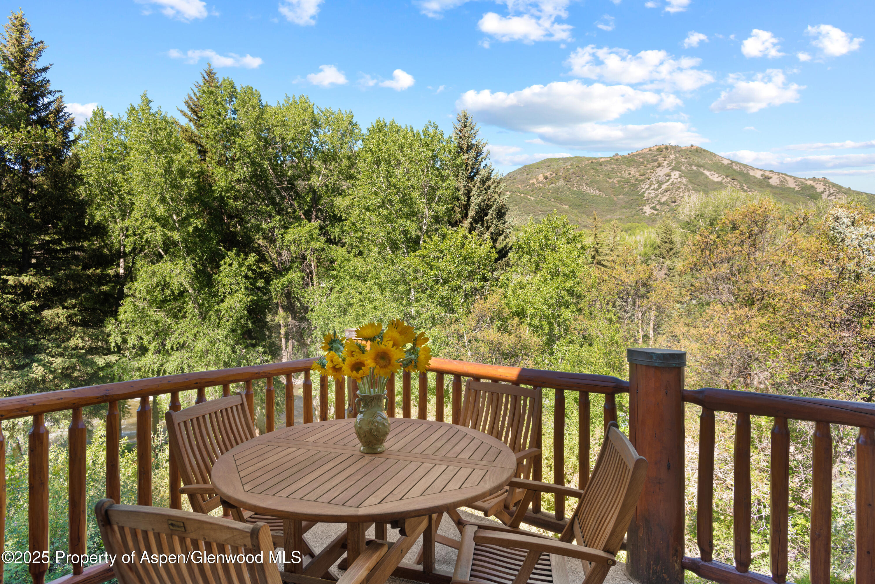 106 N Little Texas Lane Woody Creek CO 81656