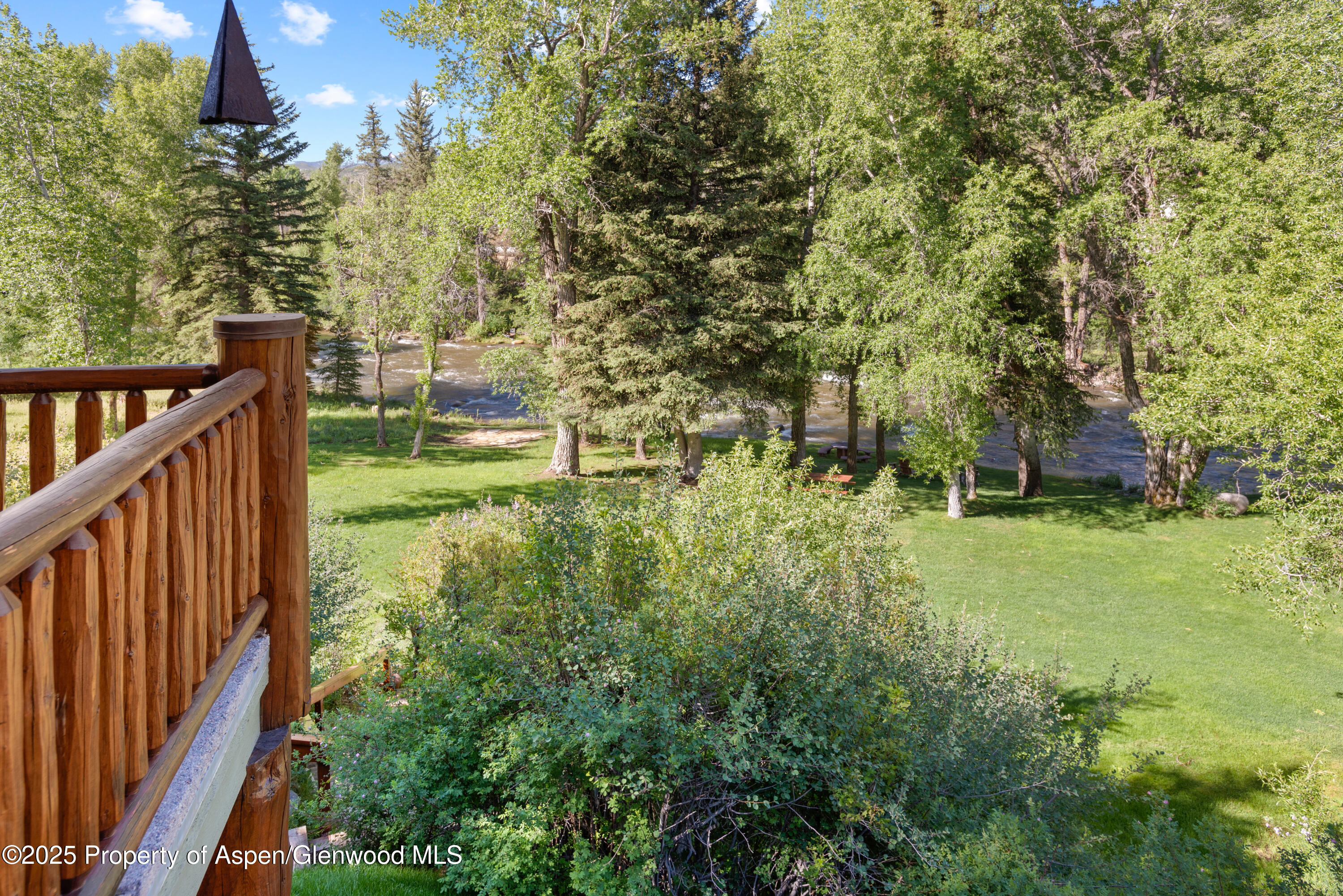 106 N Little Texas Lane Woody Creek CO 81656