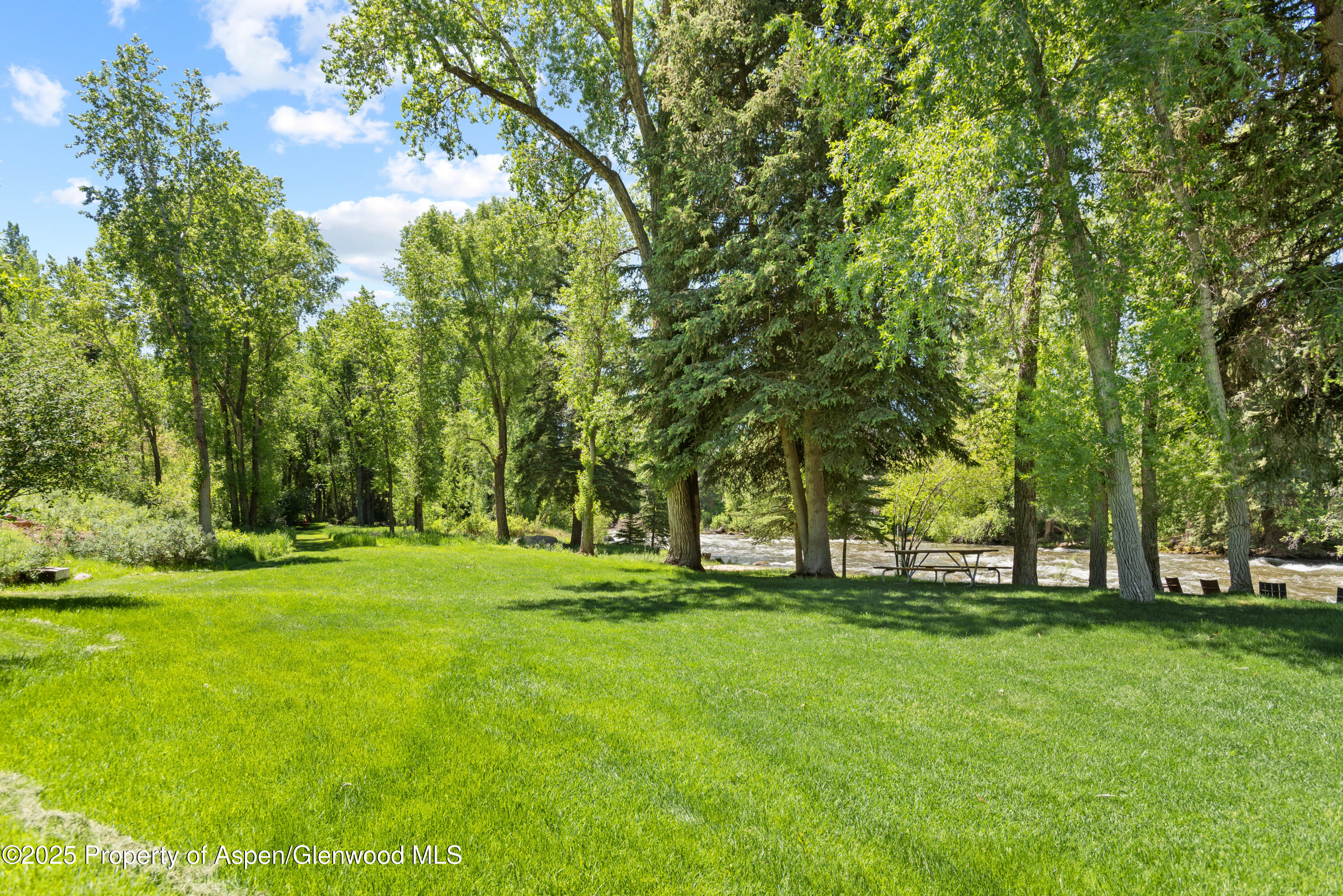 106 N Little Texas Lane Woody Creek CO 81656