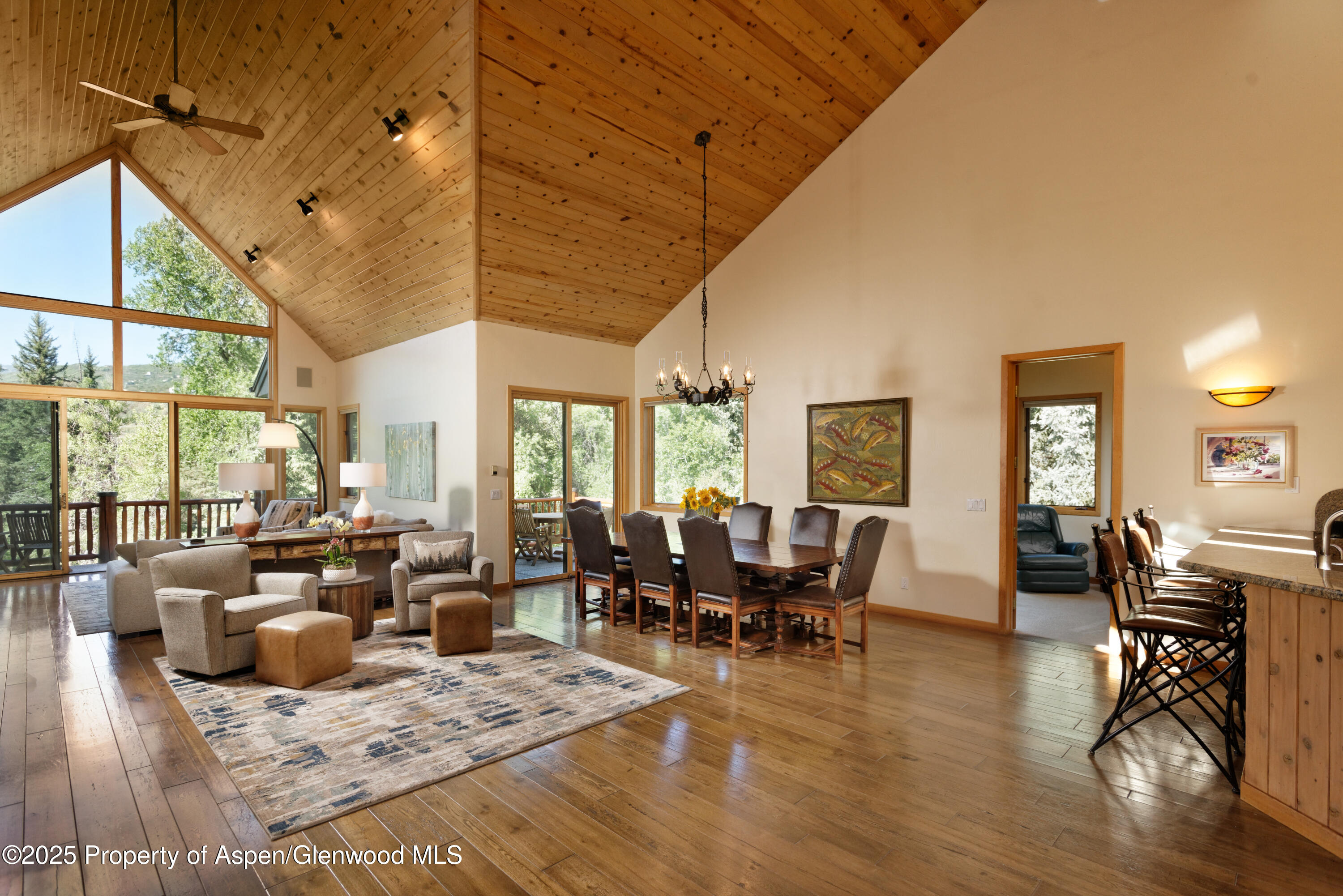 106 N Little Texas Lane Woody Creek CO 81656