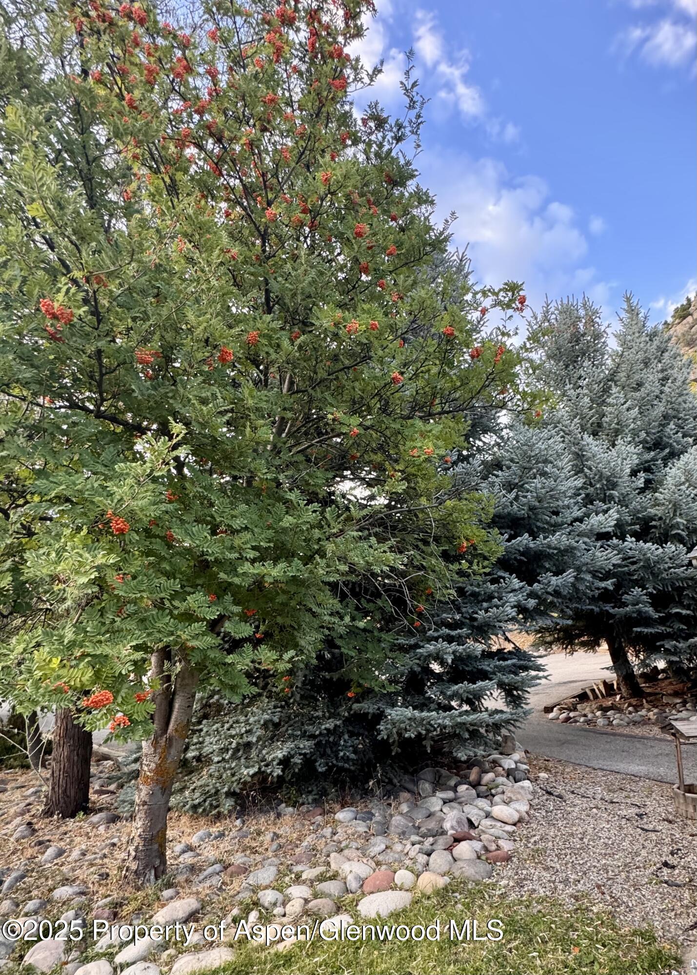 228 N 7th Street New Castle CO 81647