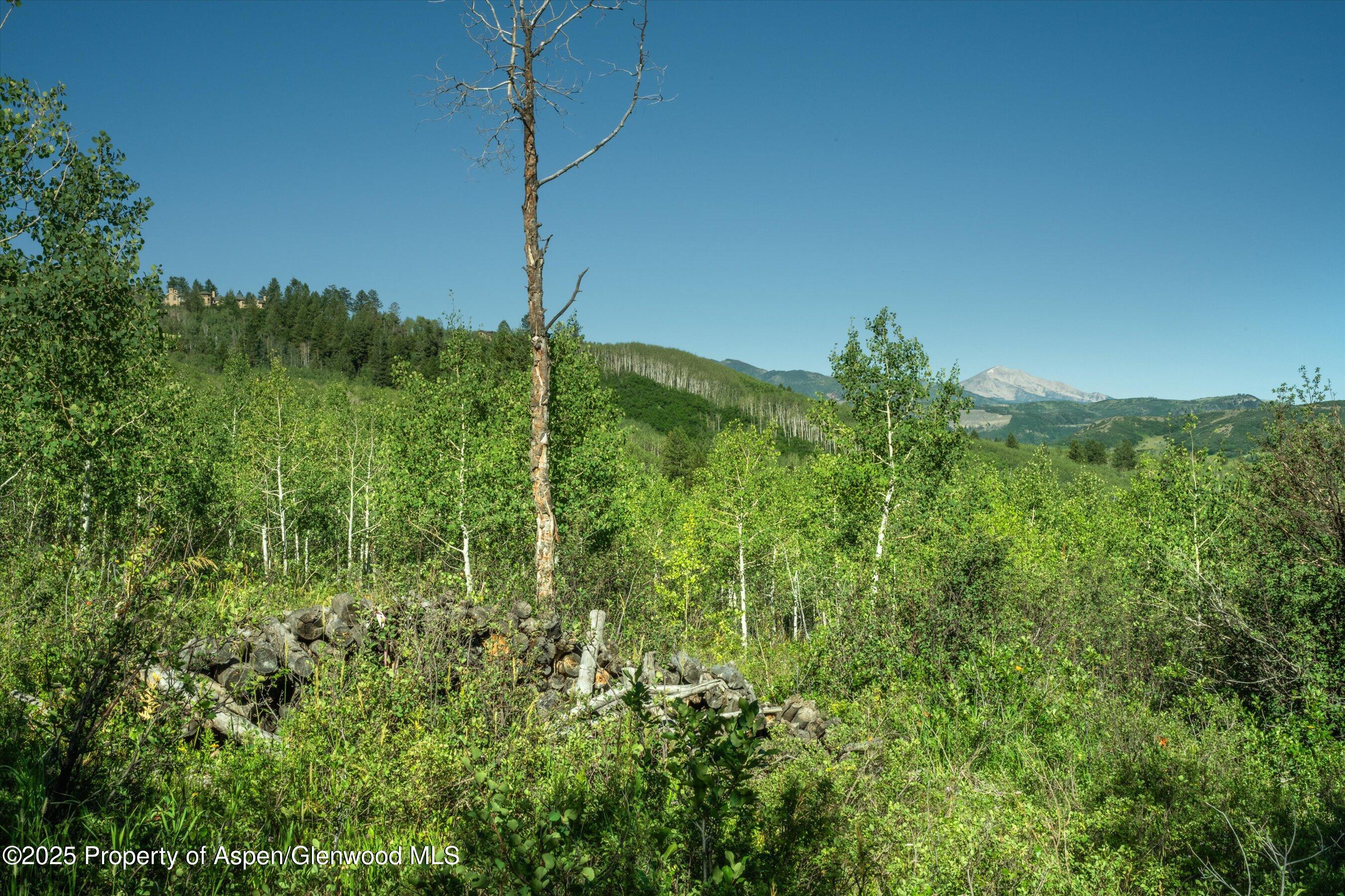 1833 West Buttermilk Road Aspen CO 81611