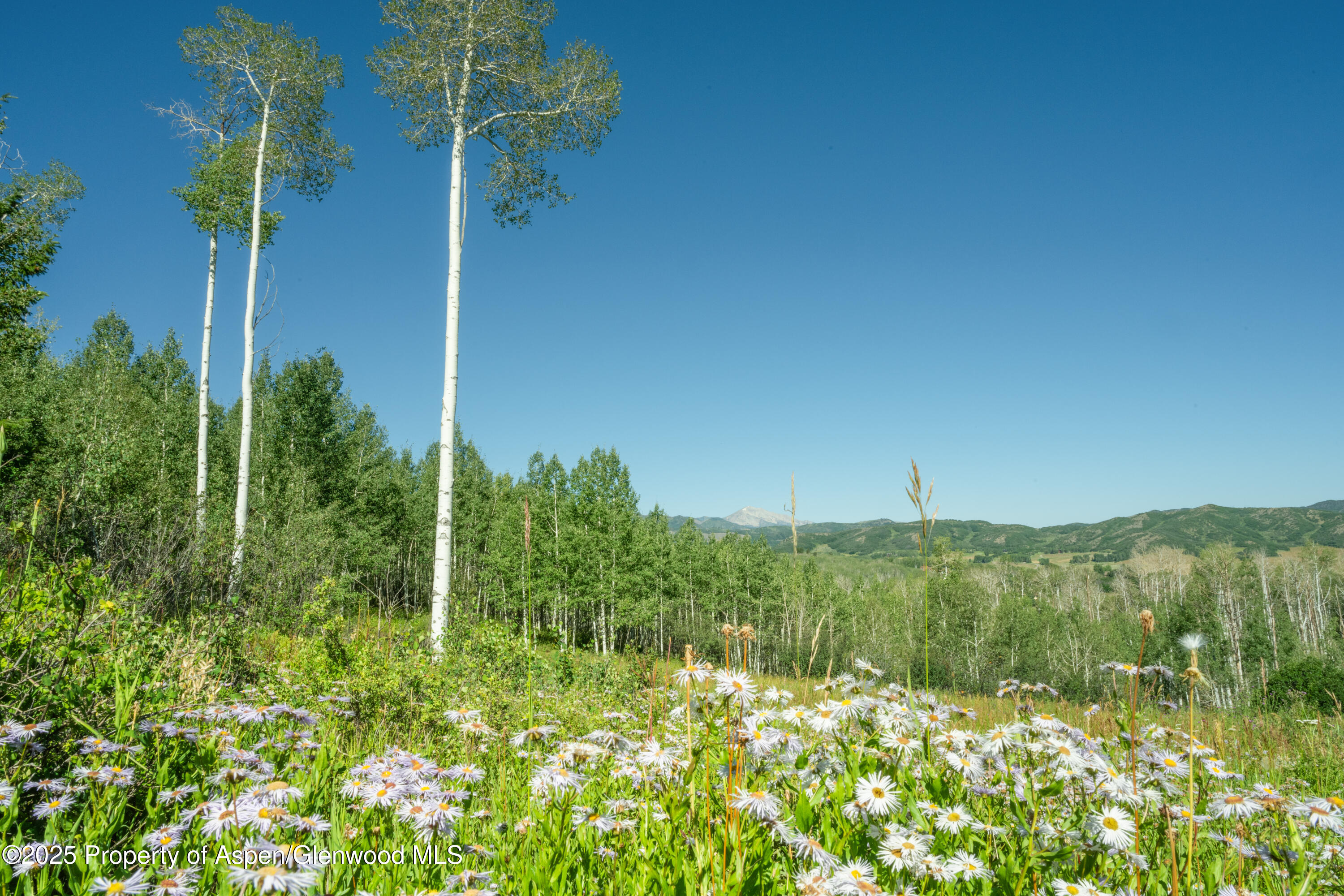 1833 West Buttermilk Road Aspen CO 81611