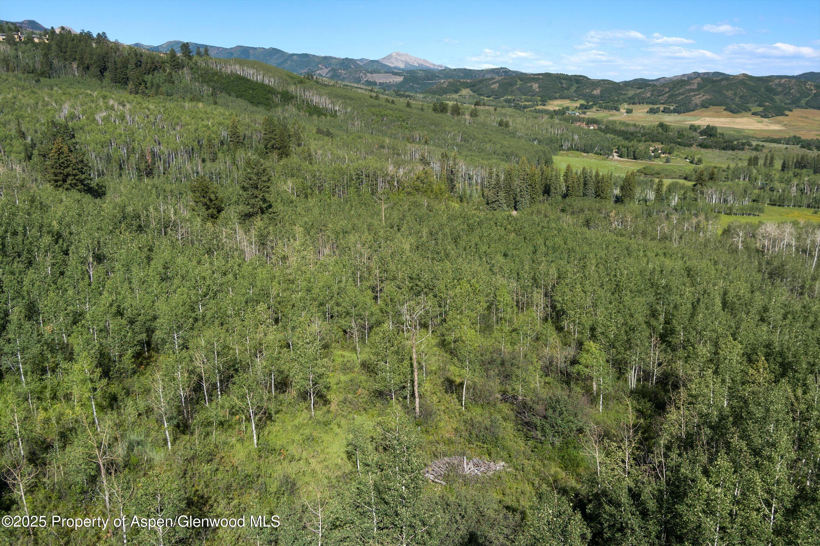 1833 West Buttermilk Road Aspen CO 81611