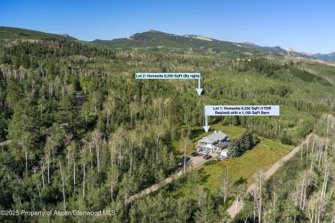 1833 West Buttermilk Road Aspen CO 81611