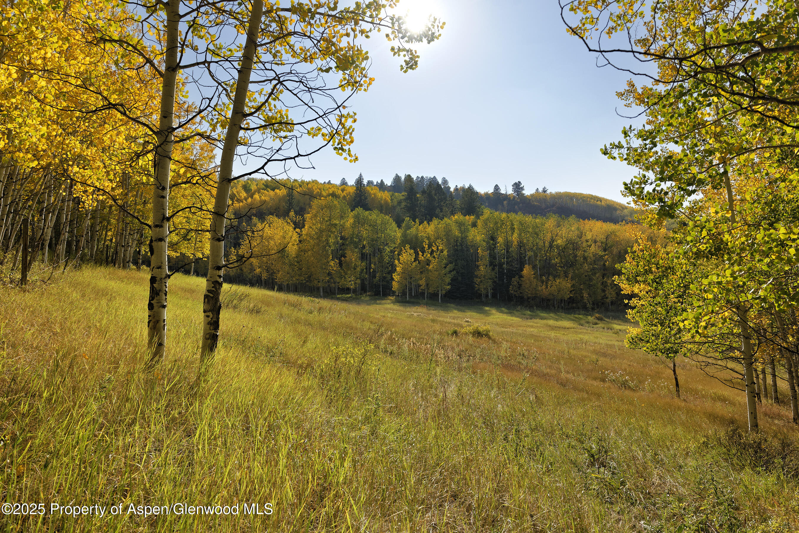 1833 West Buttermilk Road Aspen CO 81611