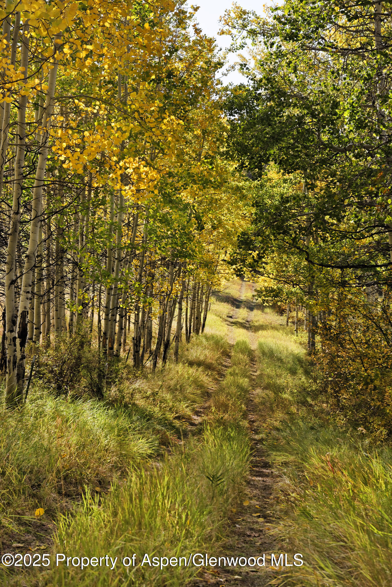 1833 West Buttermilk Road Aspen CO 81611