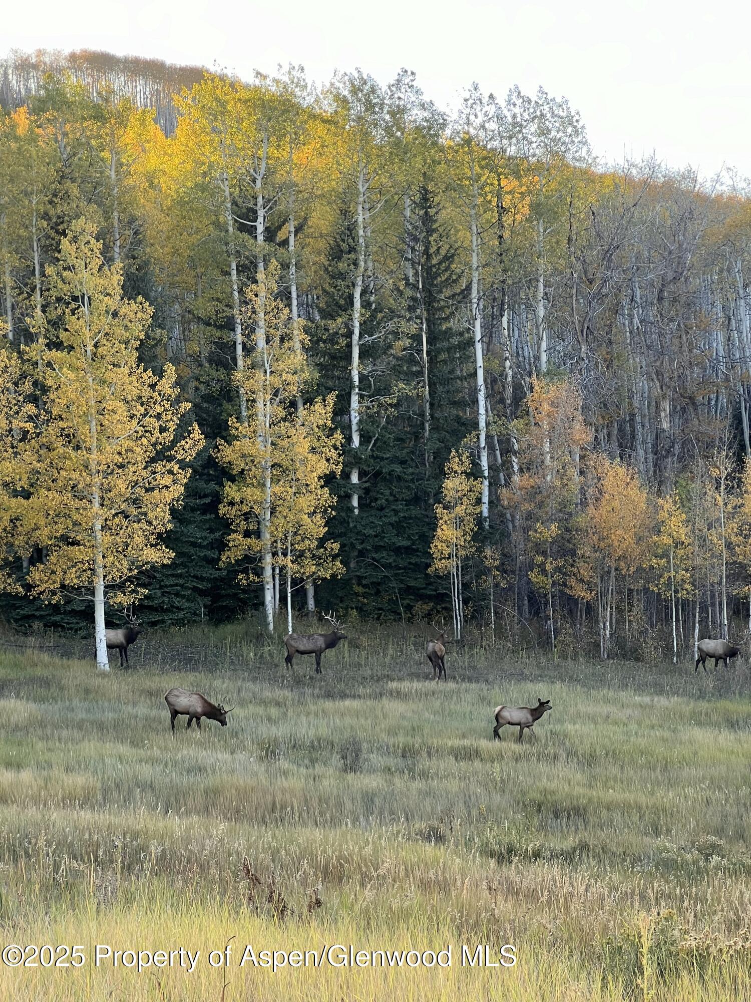 1833 West Buttermilk Road Aspen CO 81611