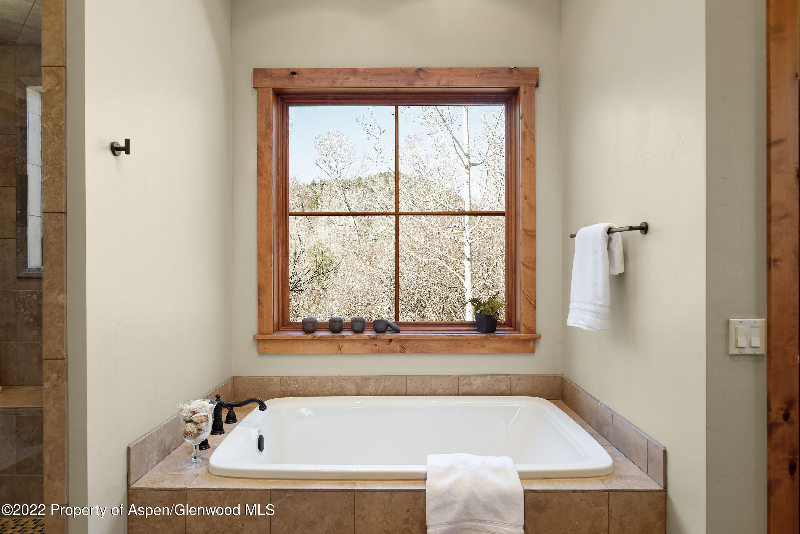 296 Ponderosa Pass Carbondale CO 81623