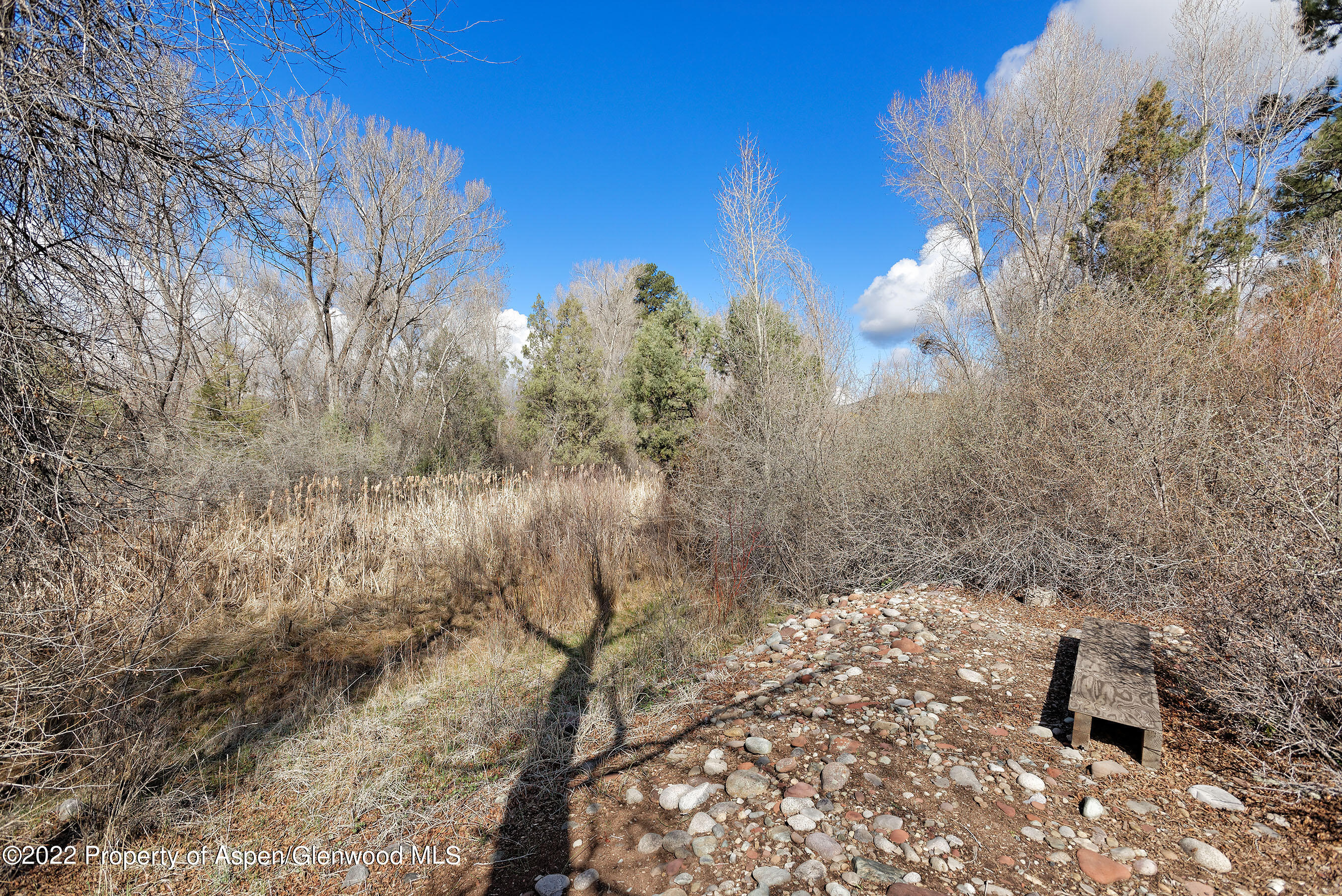 296 Ponderosa Pass Carbondale CO 81623