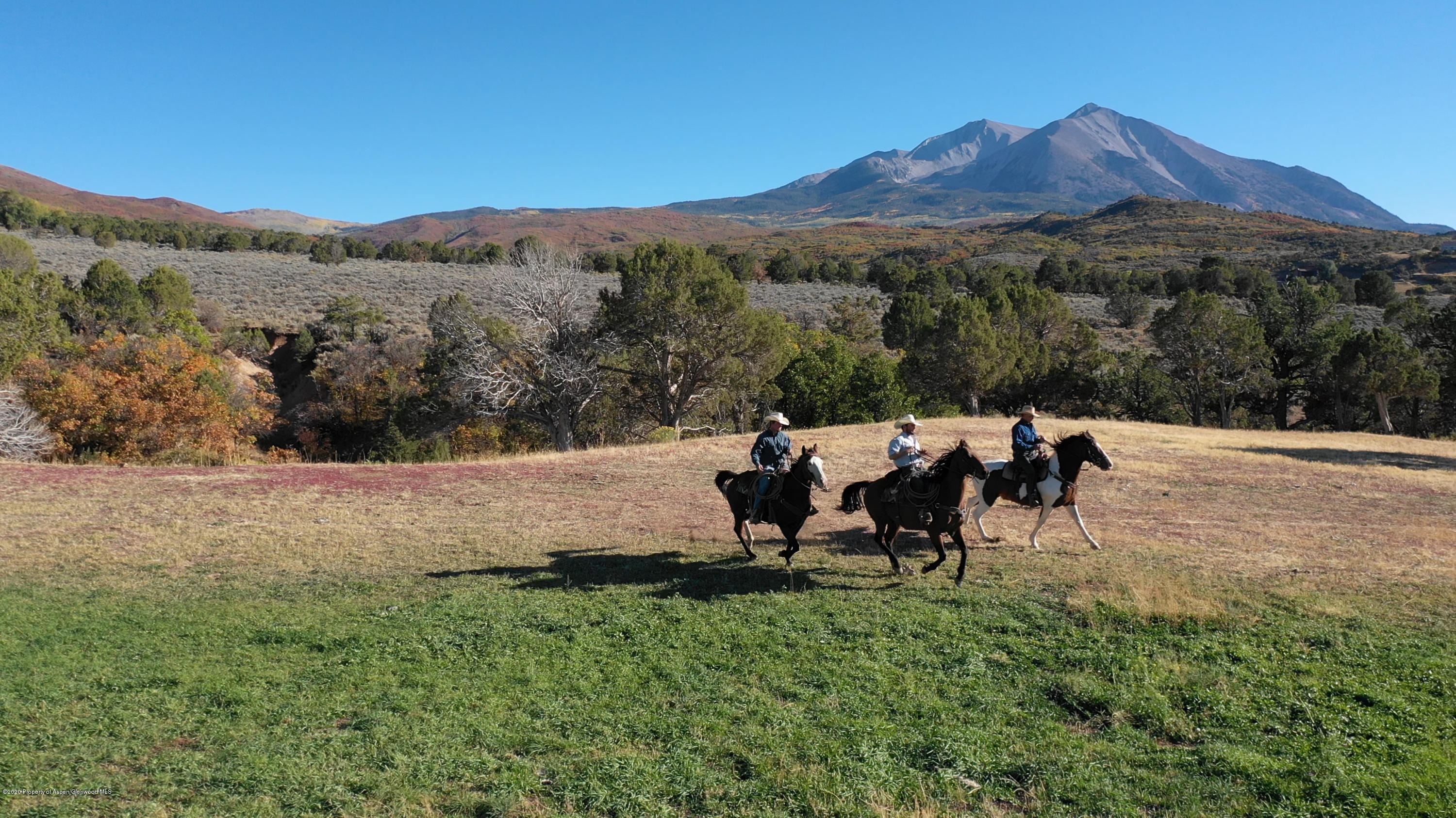 1644 Prince Creek Road Carbondale CO 81623