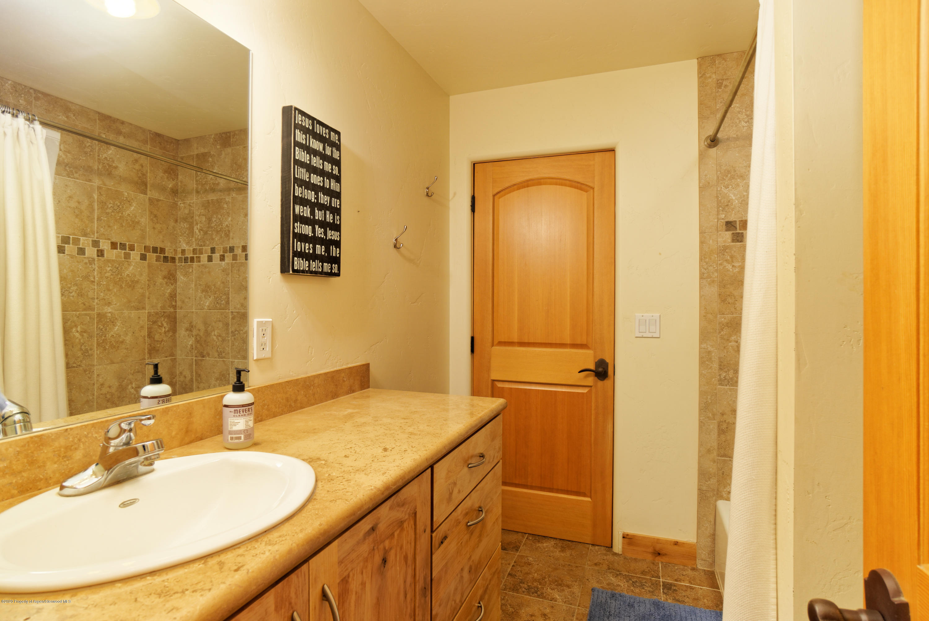 106 Goose Lane Carbondale CO 81623