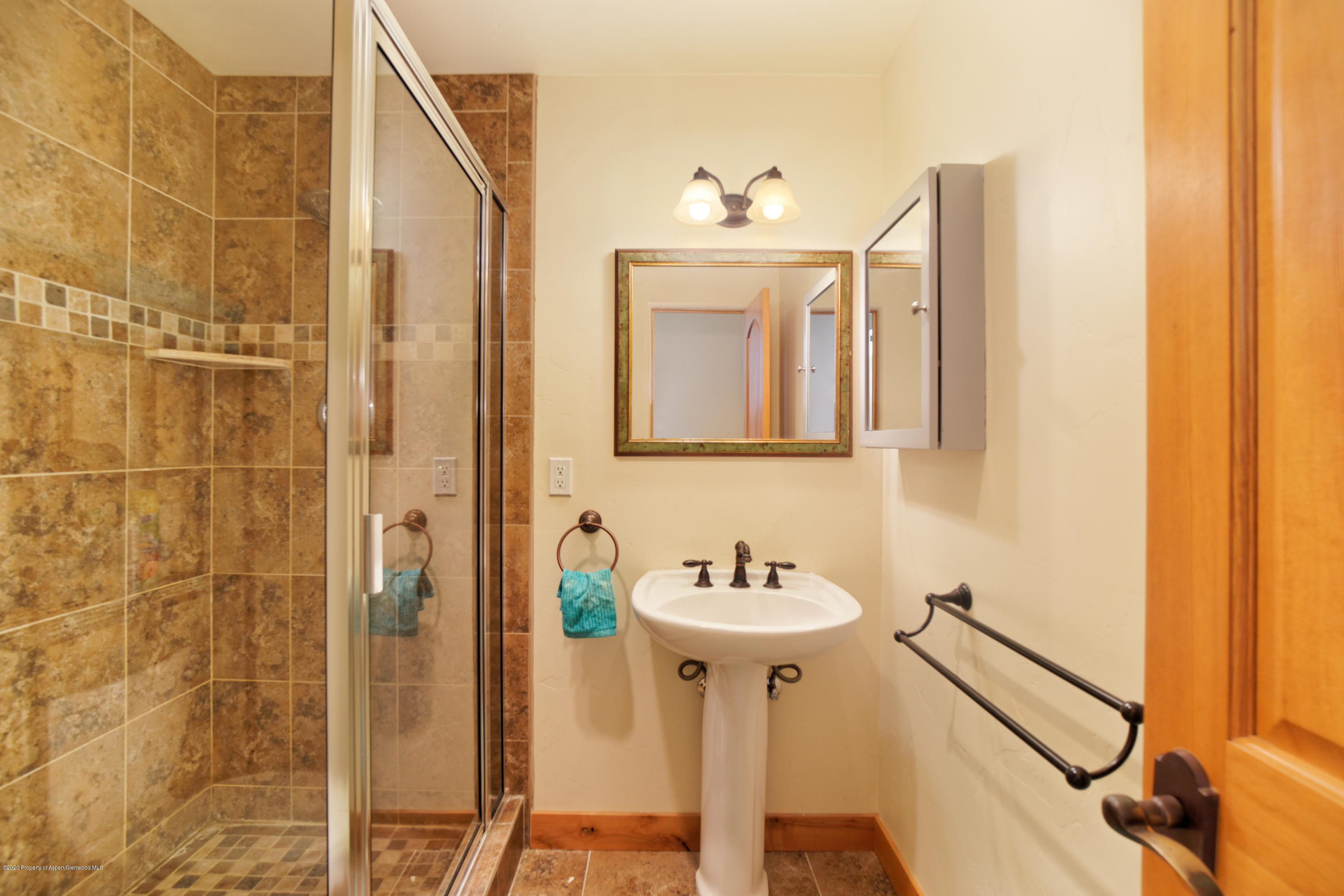 106 Goose Lane Carbondale CO 81623