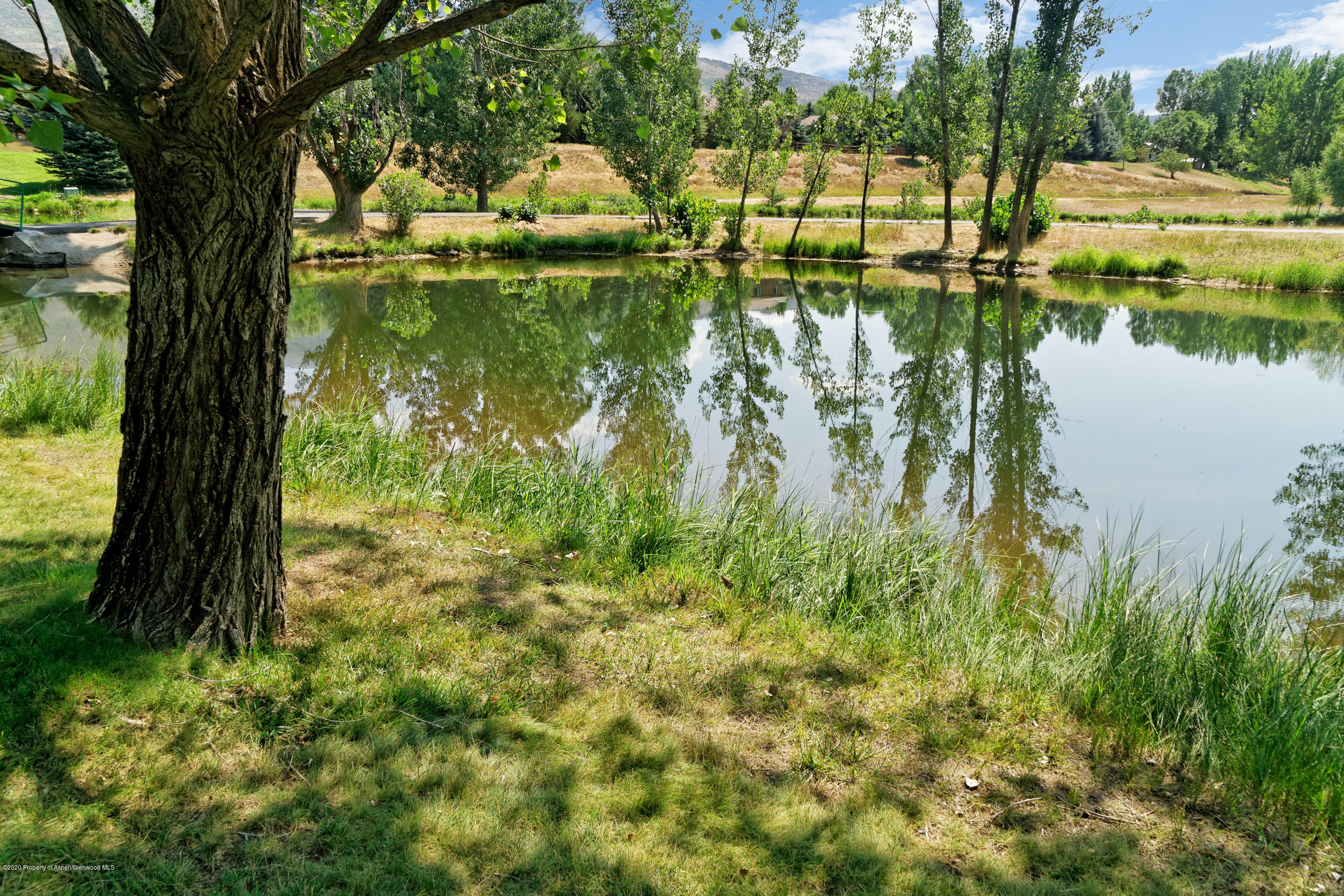 106 Goose Lane Carbondale CO 81623