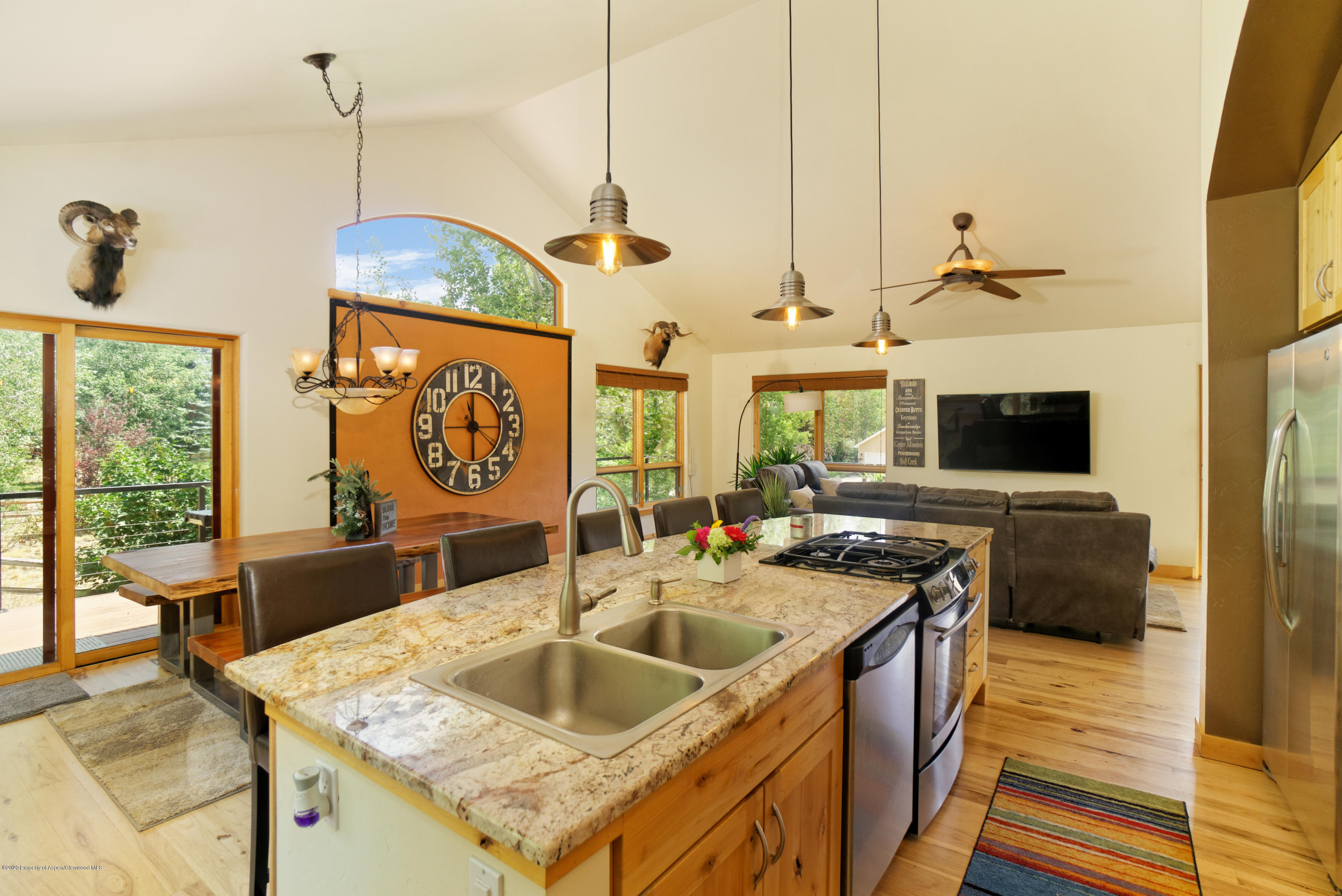 106 Goose Lane Carbondale CO 81623
