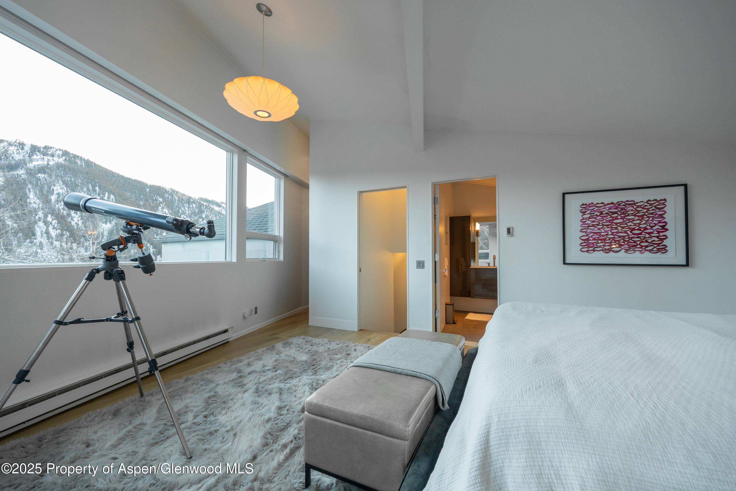 602 Mountain Laurel Drive Aspen CO 81611