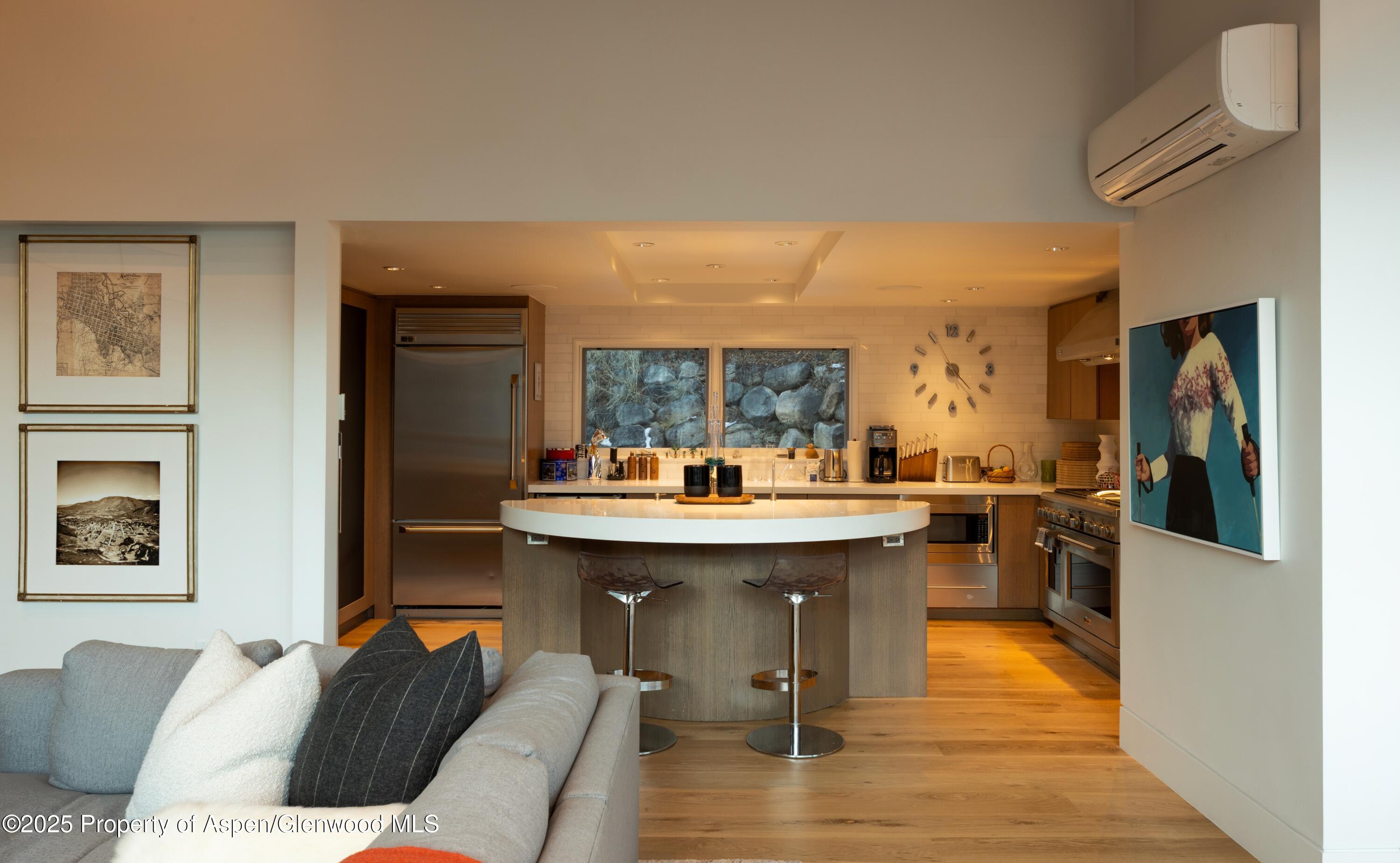 602 Mountain Laurel Drive Aspen CO 81611