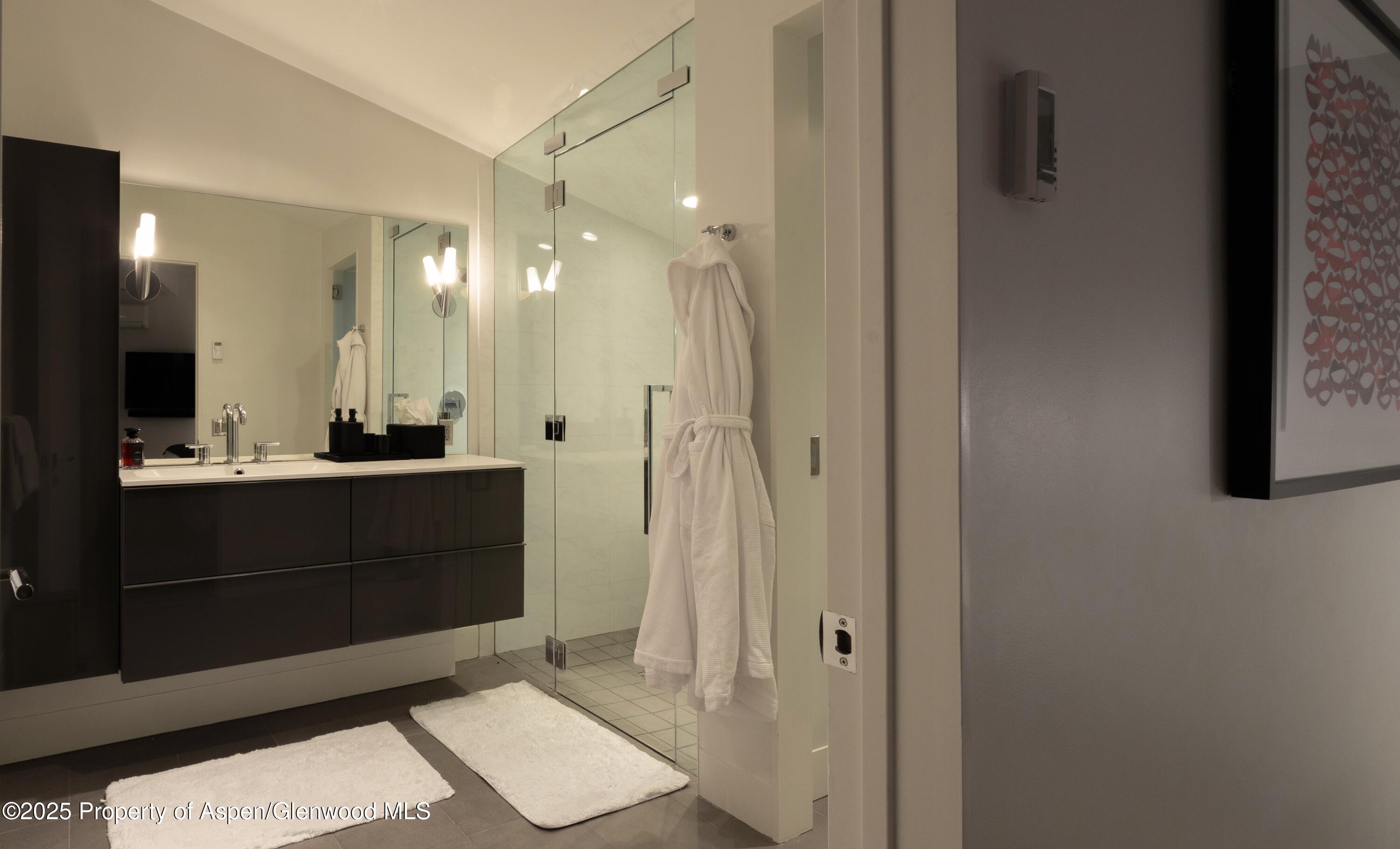 602 Mountain Laurel Drive Aspen CO 81611