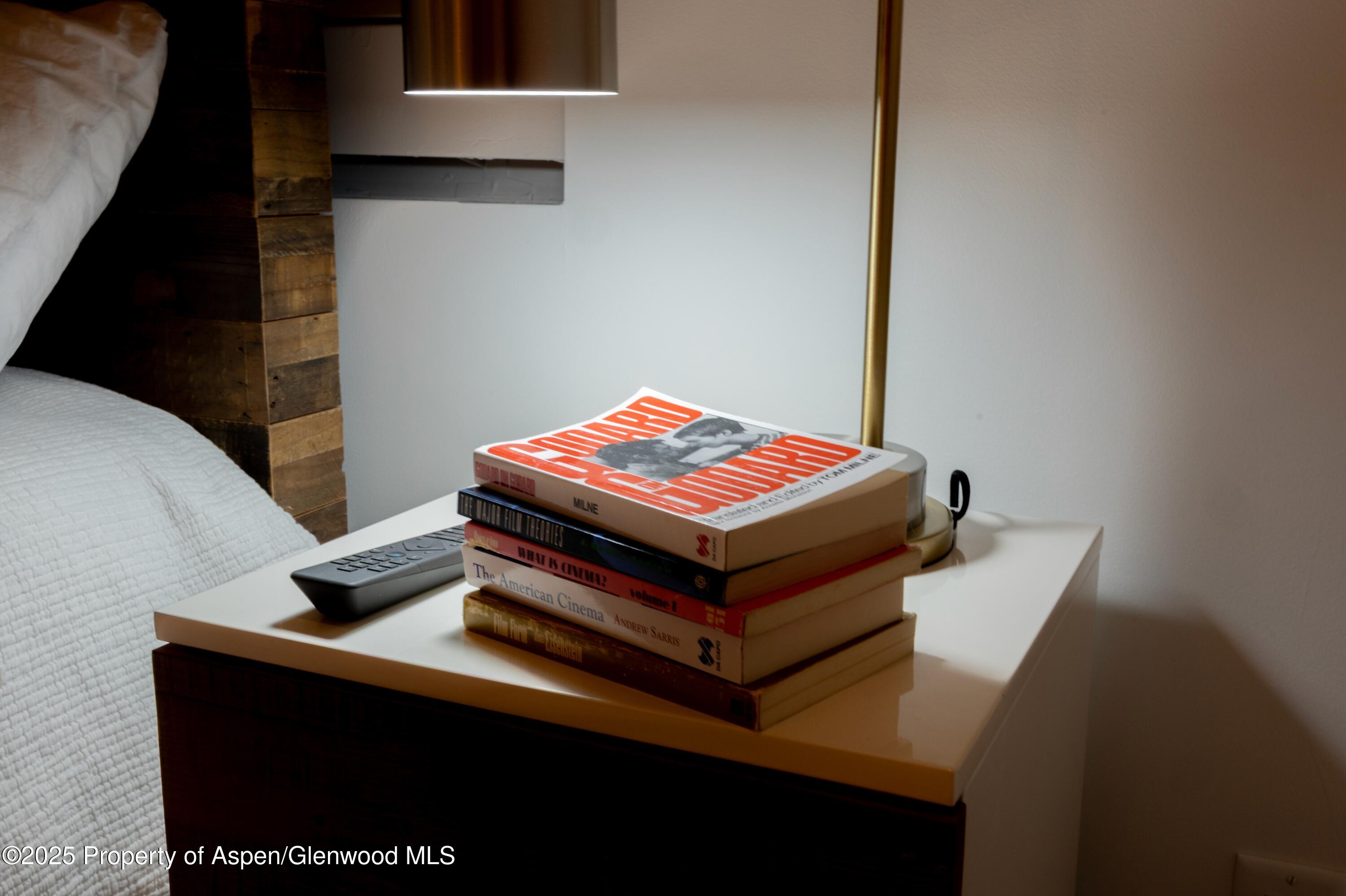 602 Mountain Laurel Drive Aspen CO 81611