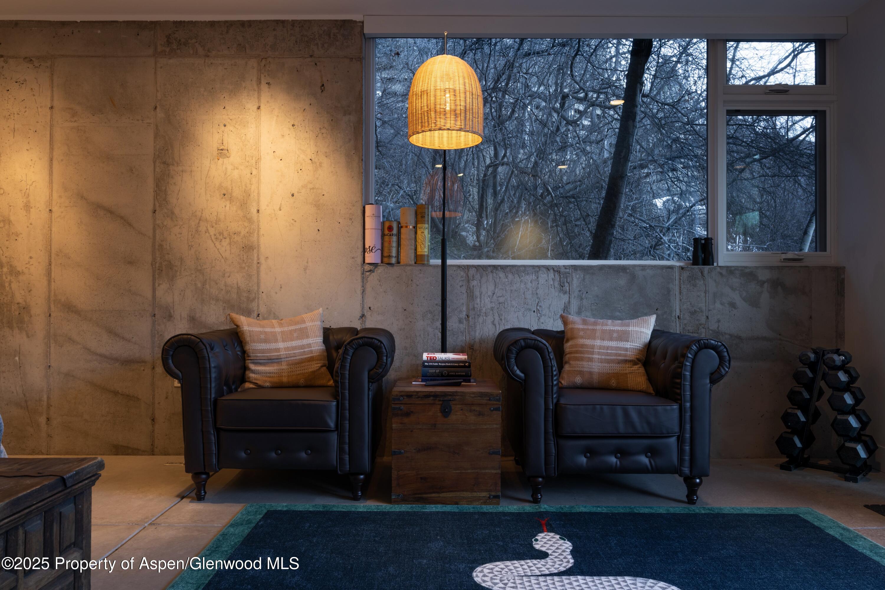 602 Mountain Laurel Drive Aspen CO 81611