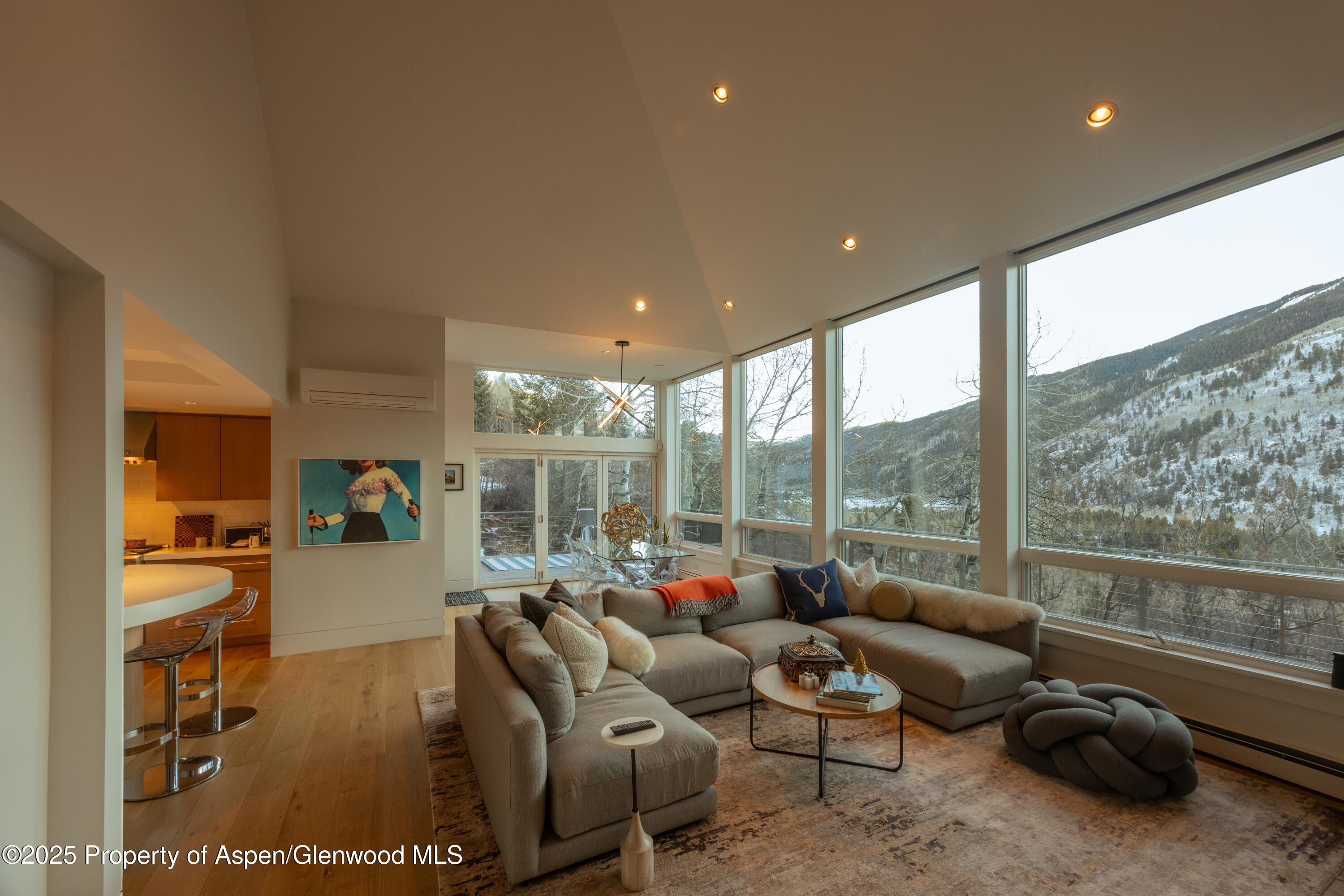 602 Mountain Laurel Drive Aspen CO 81611