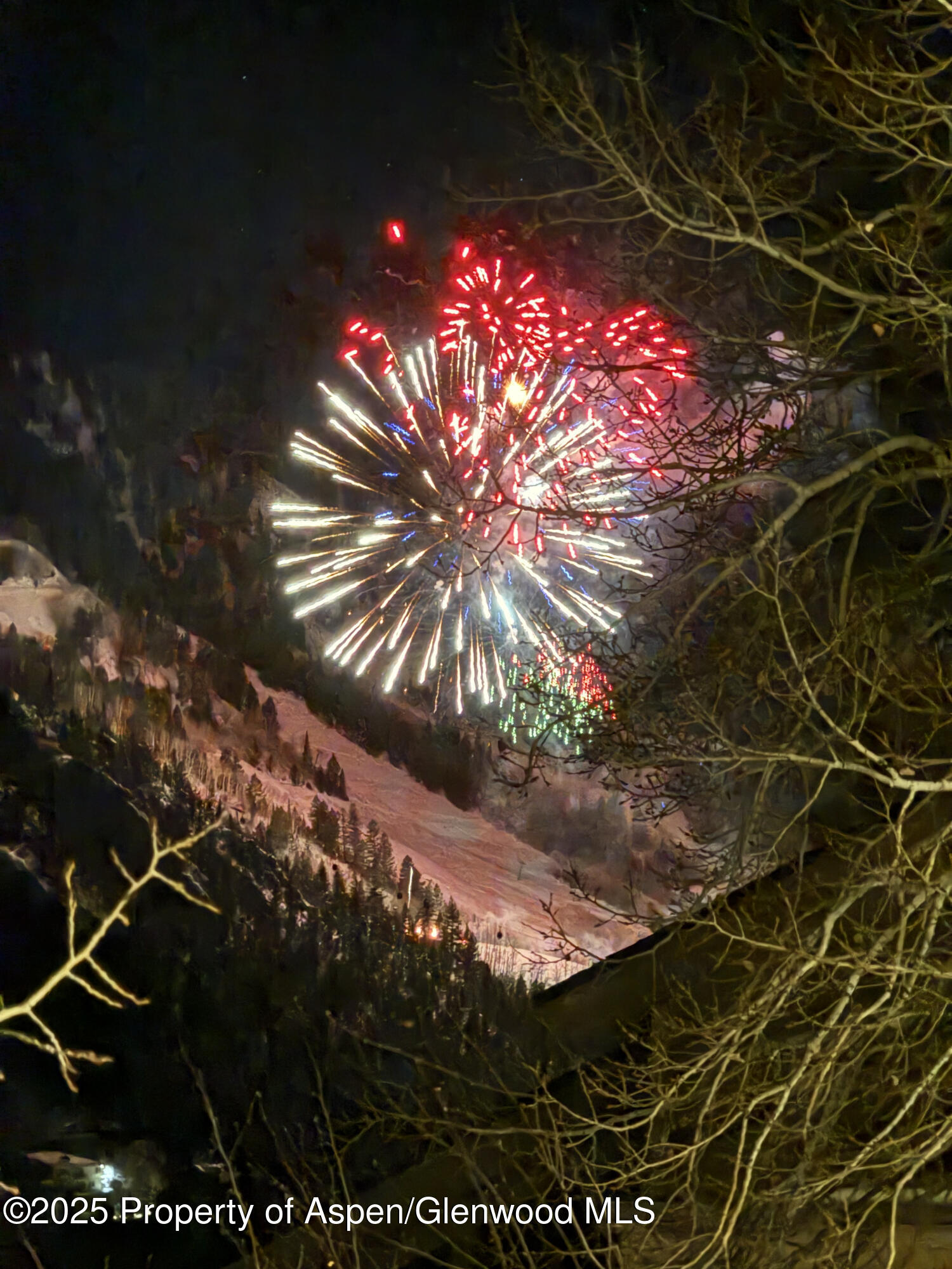 602 Mountain Laurel Drive Aspen CO 81611