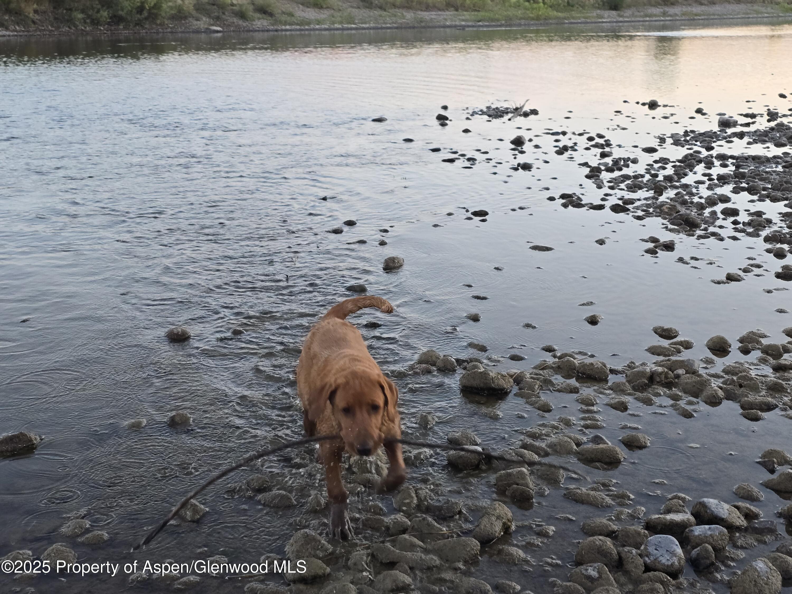 13457 County Road 17 Craig CO 81625