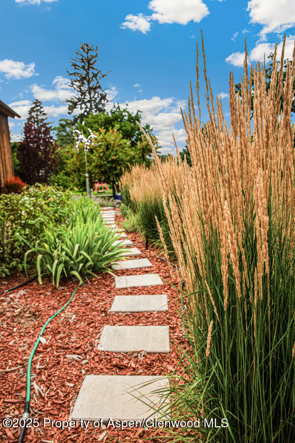 640 Lincoln Avenue Carbondale CO 81623