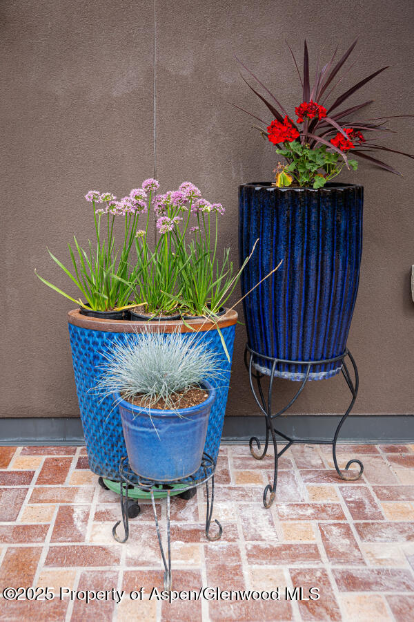 640 Lincoln Avenue Carbondale CO 81623